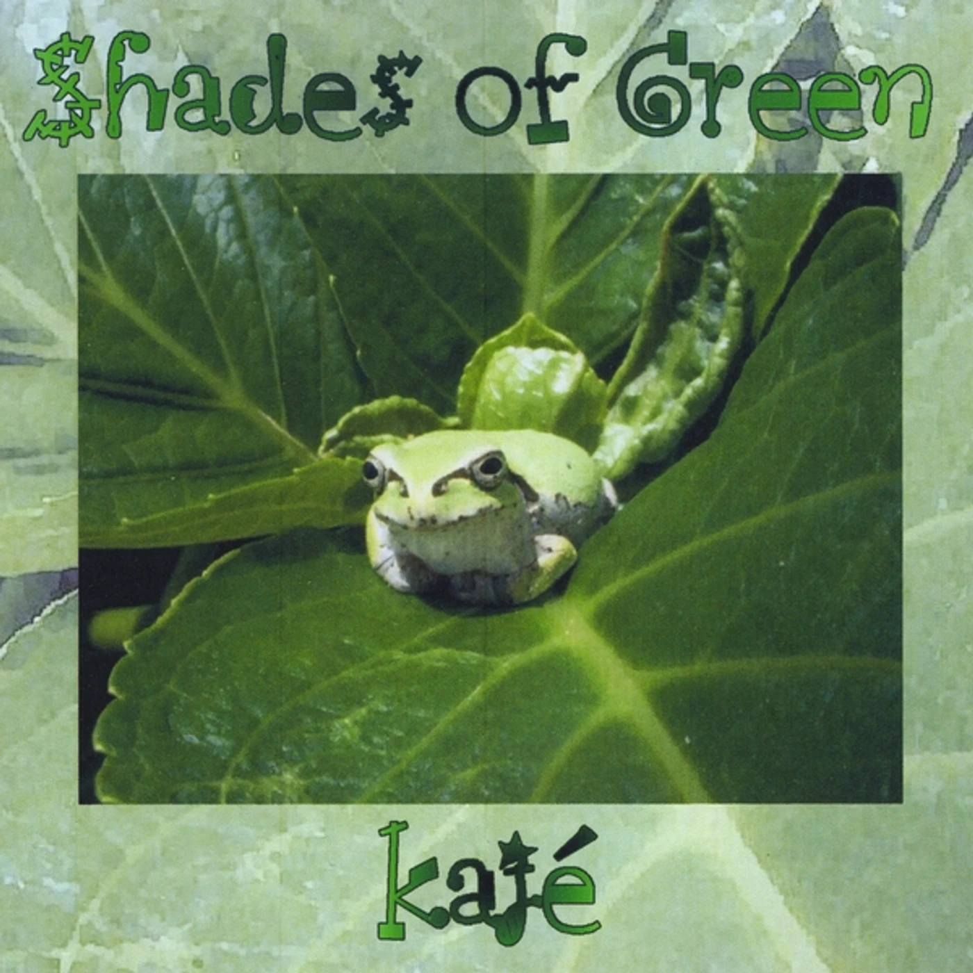 Kajé SHADES OF GREEN CD