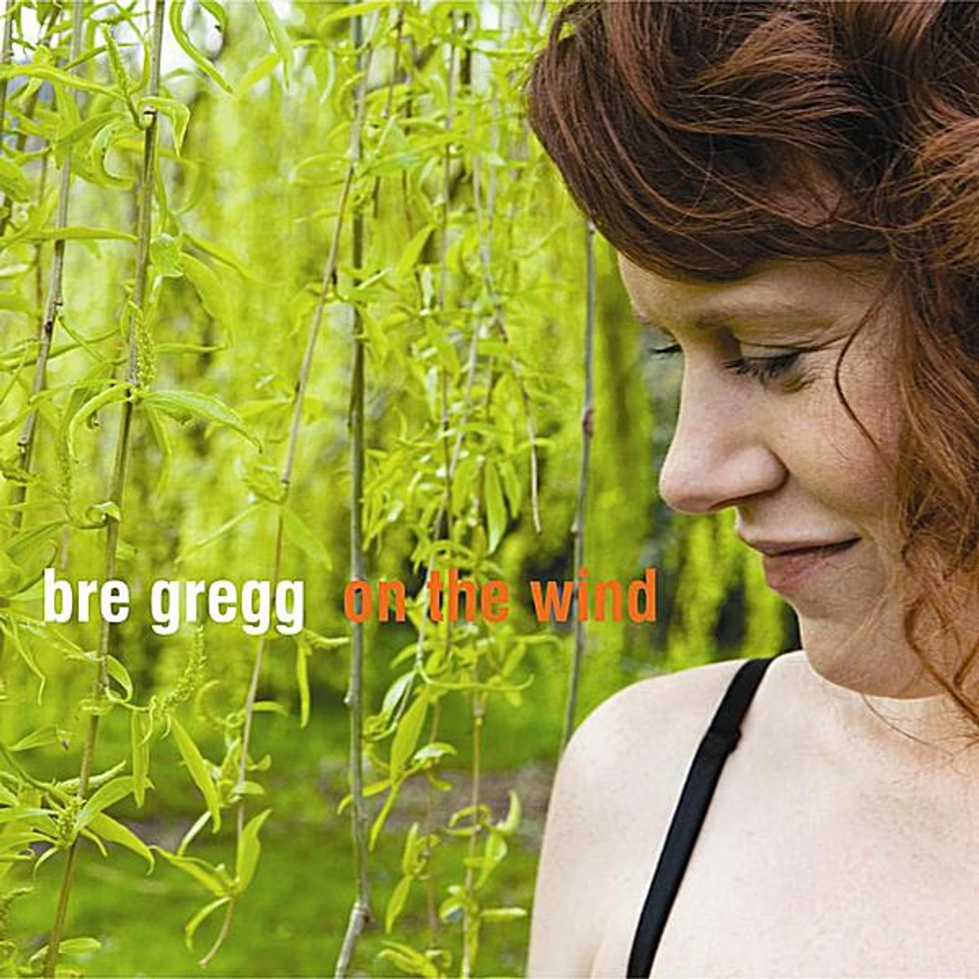 Bre Gregg ON THE WIND CD