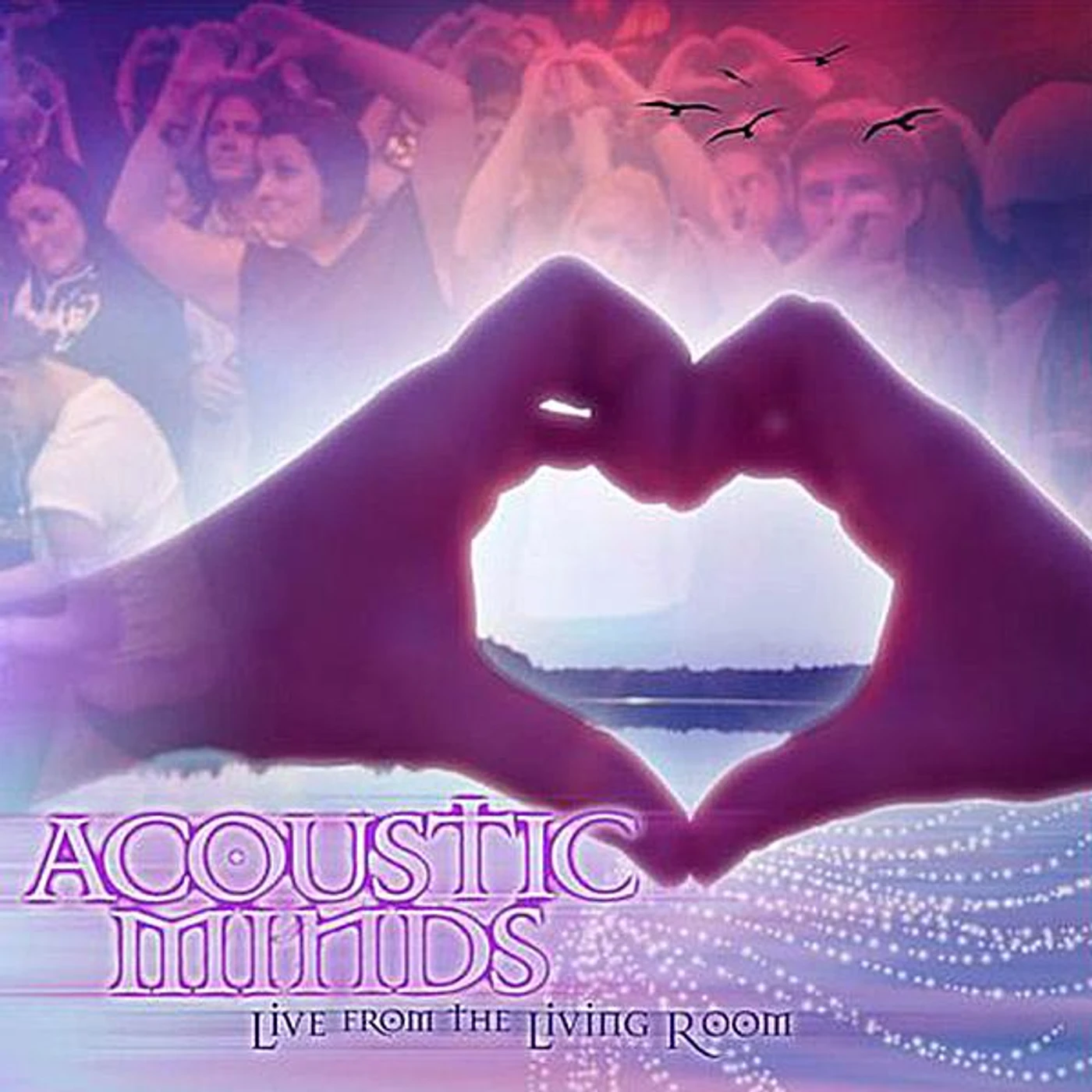 Acoustic Minds LIVE FROM THE LIVING ROOM CD