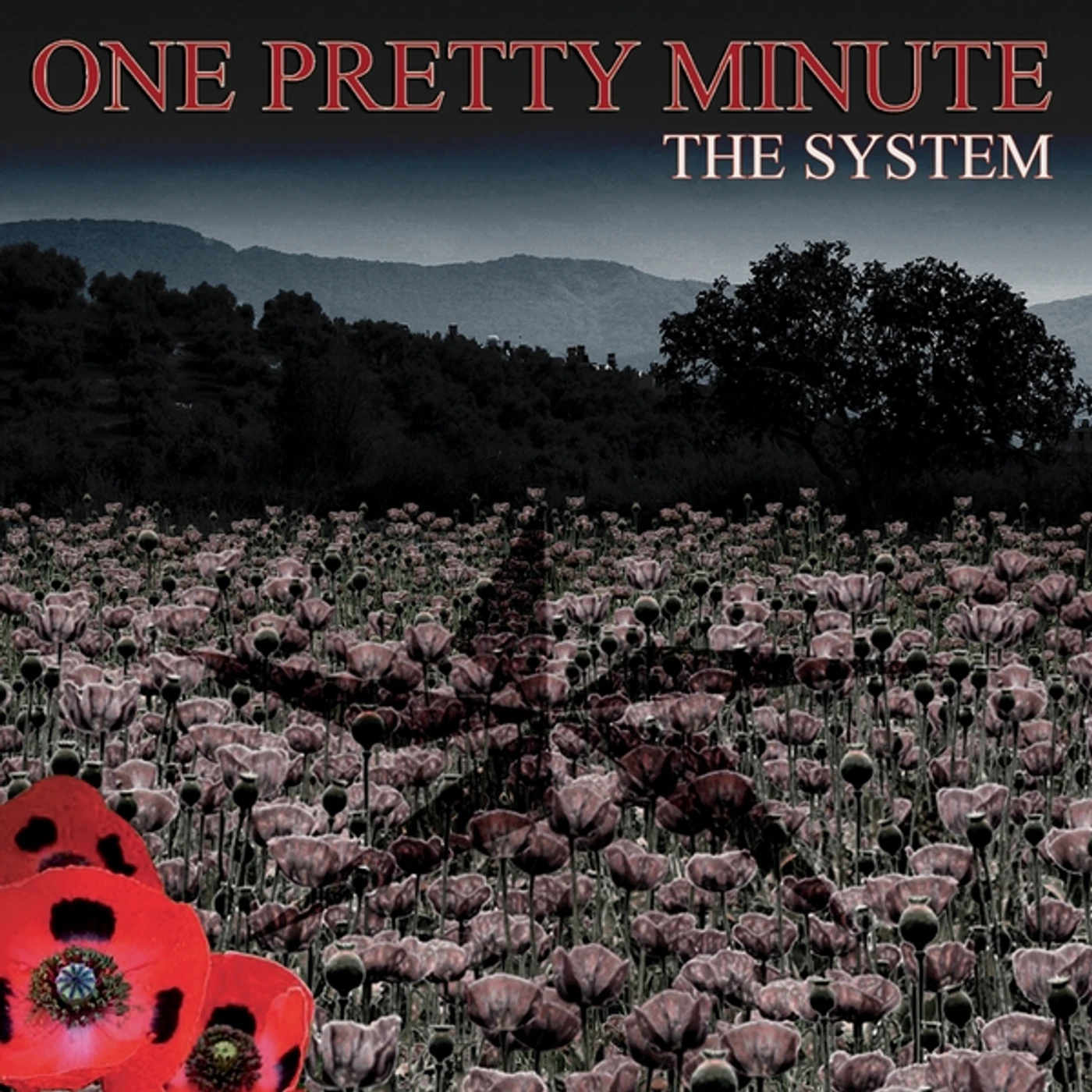 One Pretty Minute SYSTEM CD