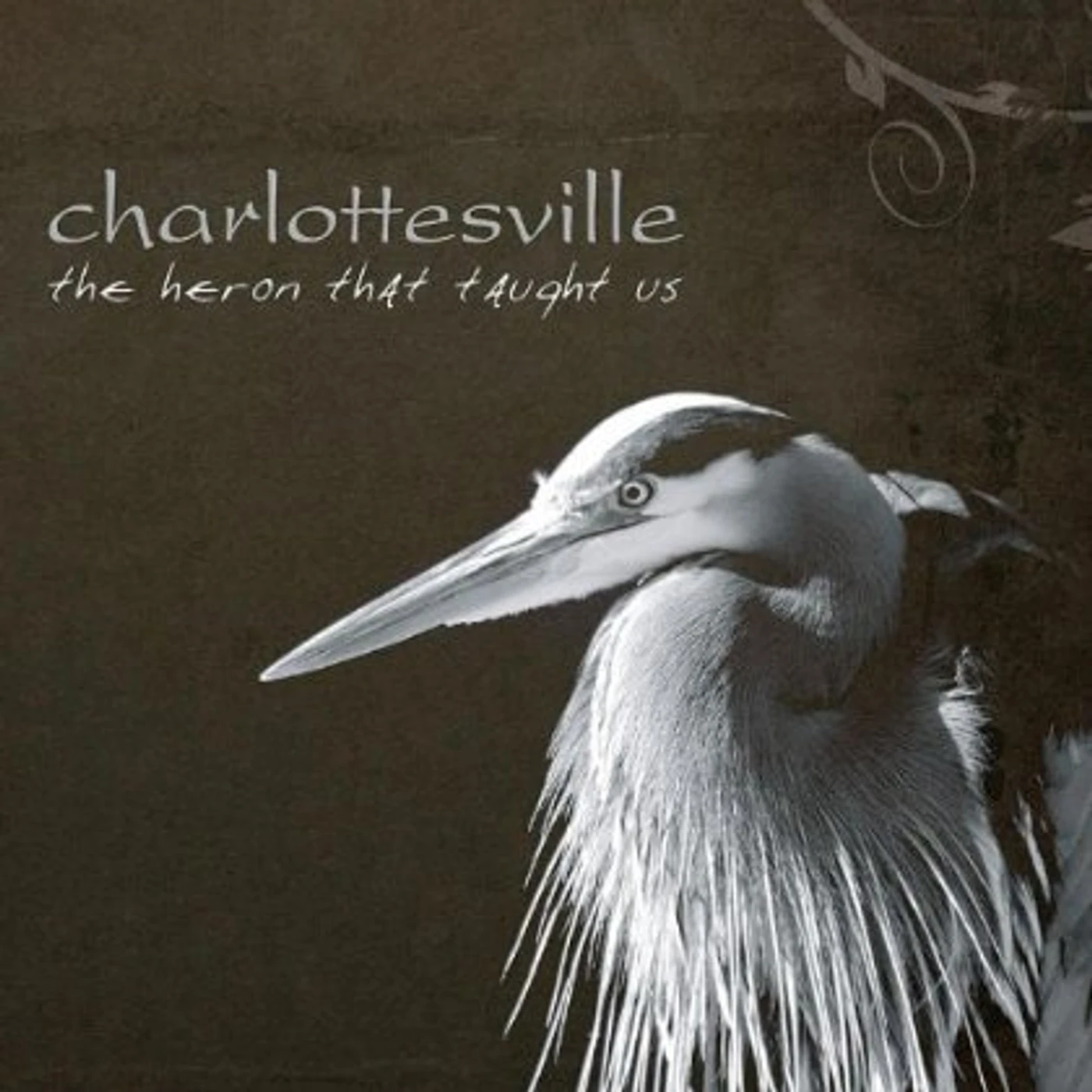 Charlottesville HERON THAT TAUGHT US CD