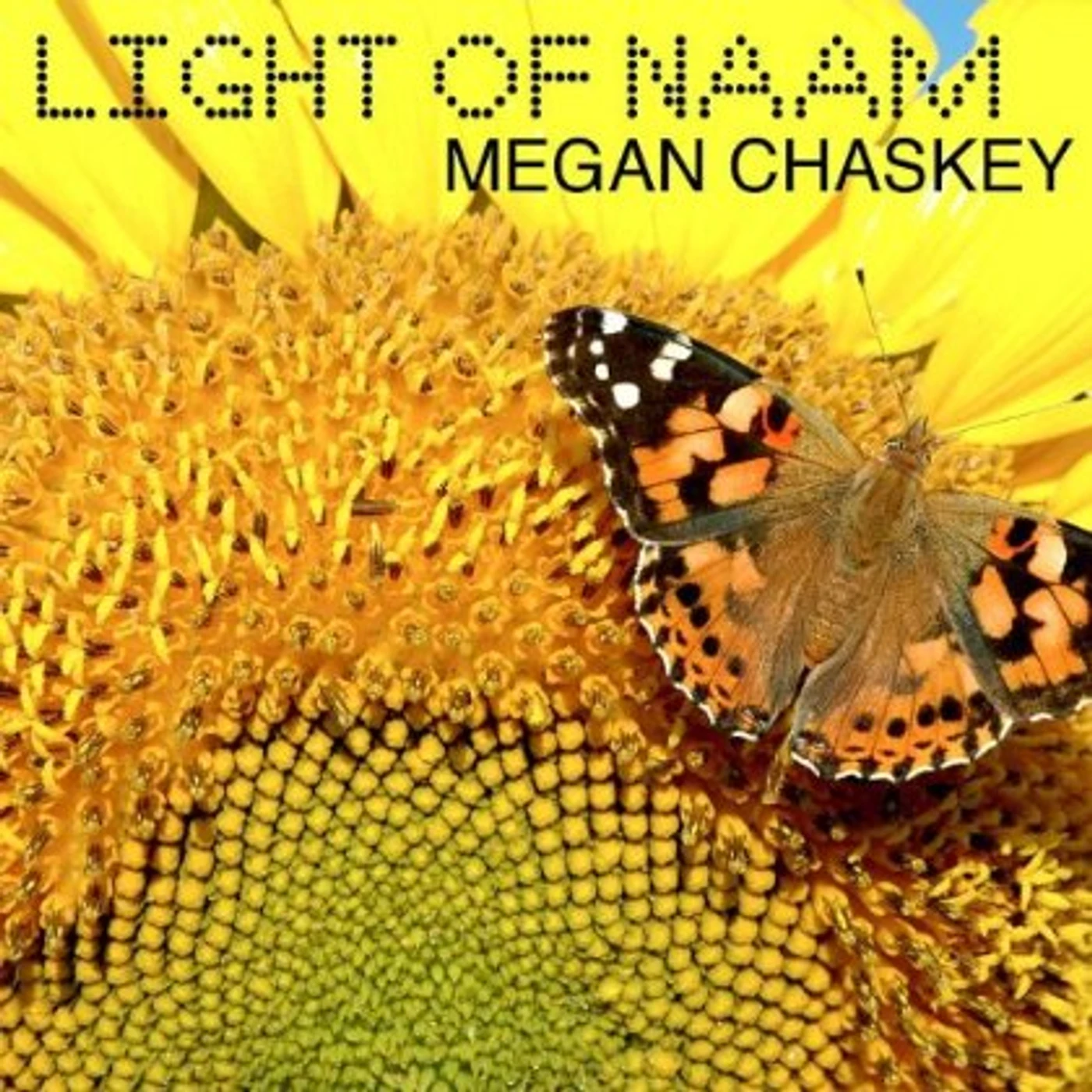 Megan Chaskey LIGHT OF NAAM CD