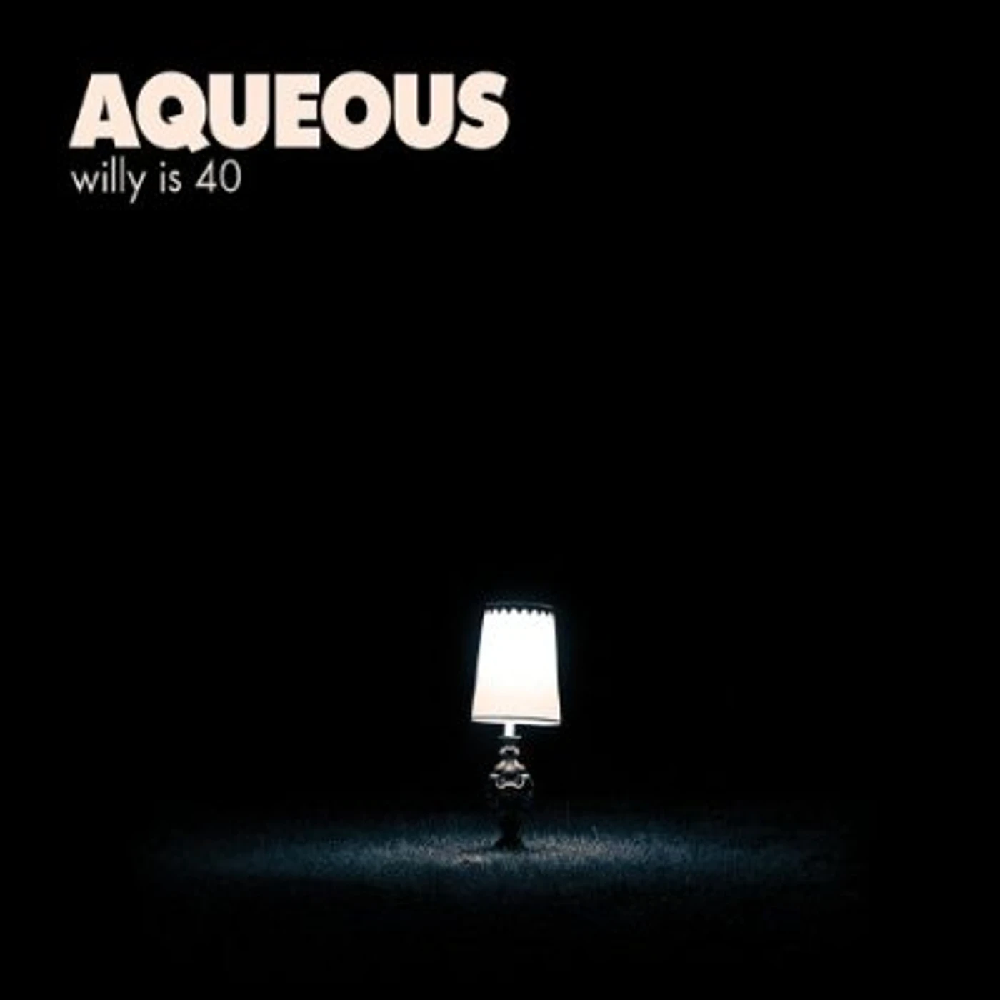 Aqueous WILLY IS 40 CD