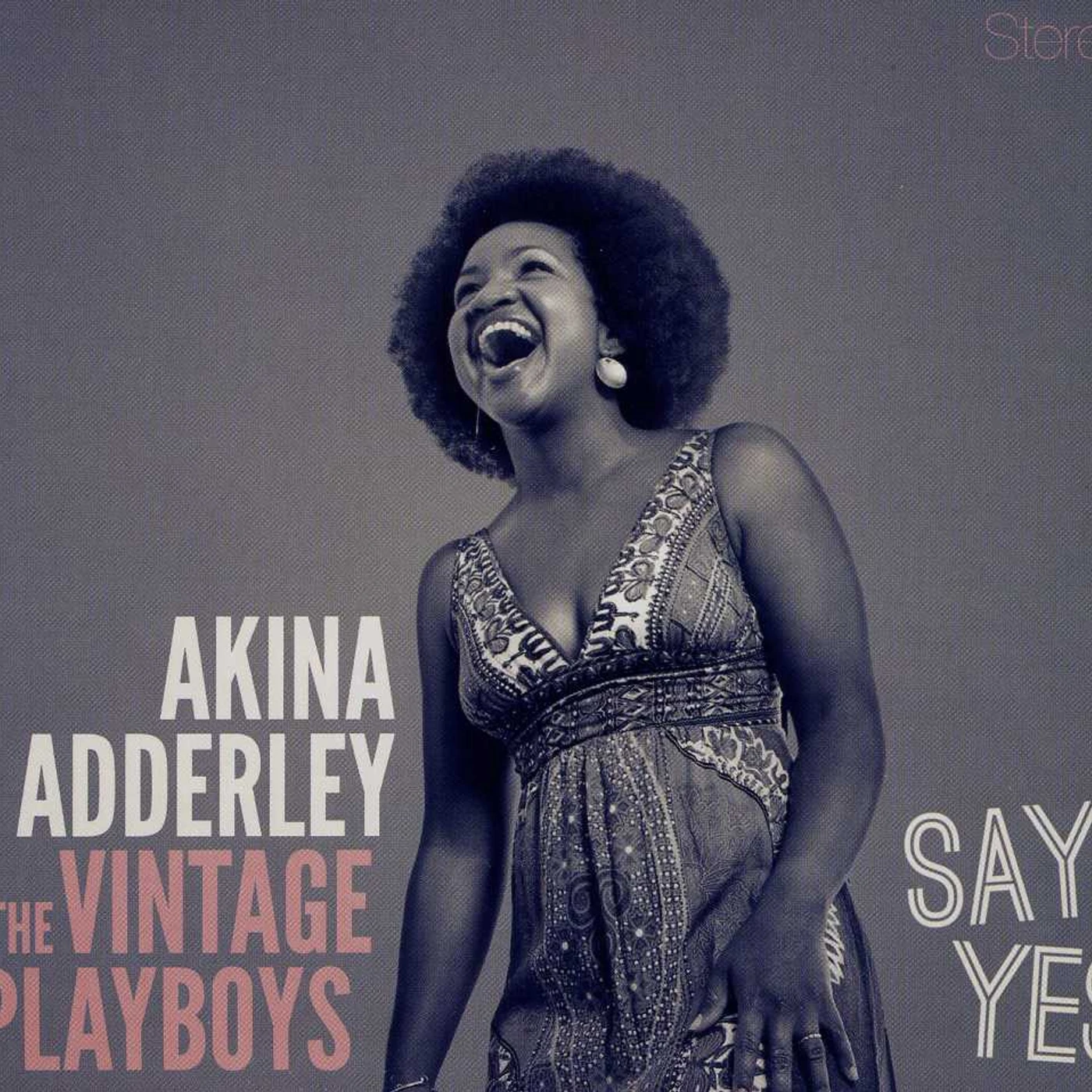 Akina Adderley & the Vintage Playboys SAY YES CD