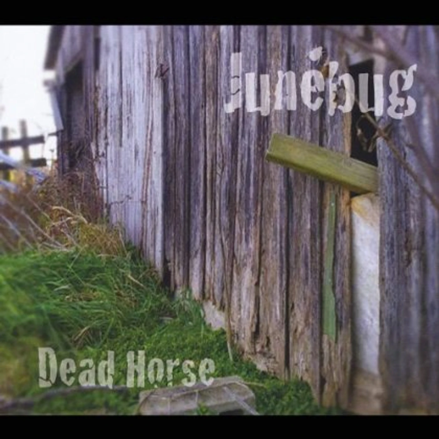 Junebug DEAD HORSE CD