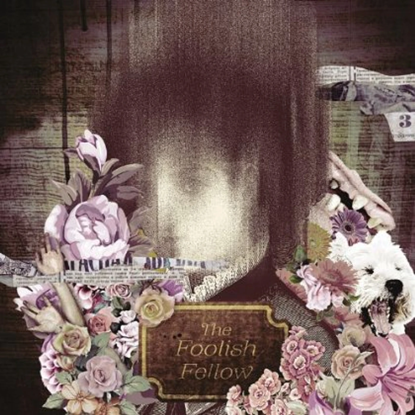 Starving in the Belly of the Whale FOOLISH FELLOW CD