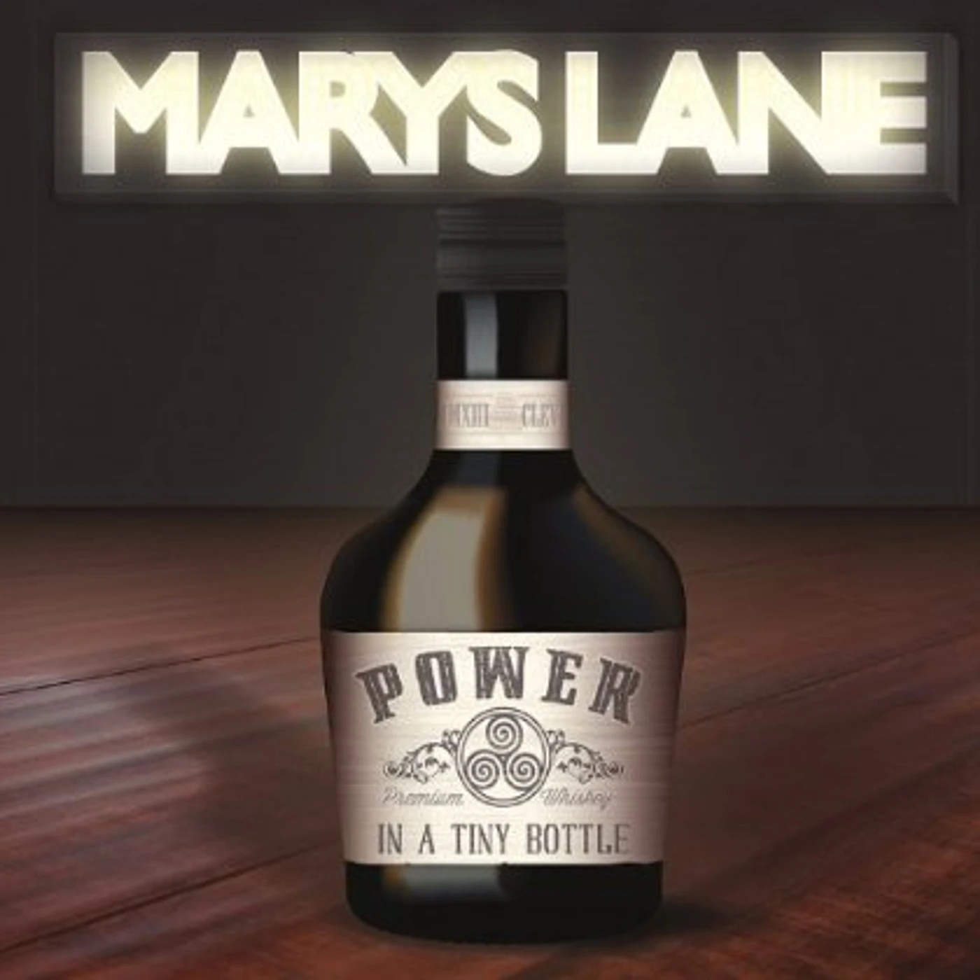 Marys Lane POWER IN A TINY BOTTLE CD