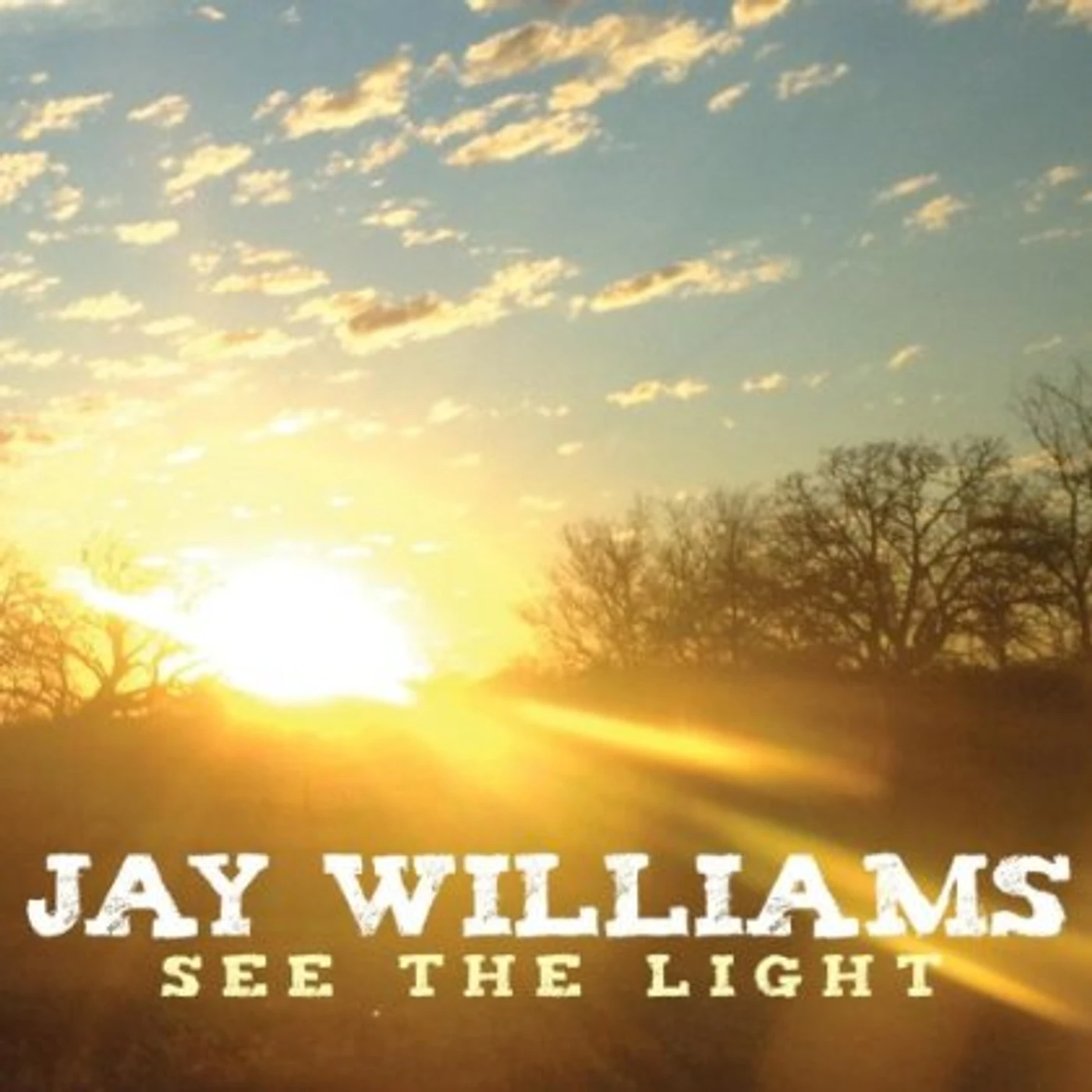 Jay Williams SEE THE LIGHT CD