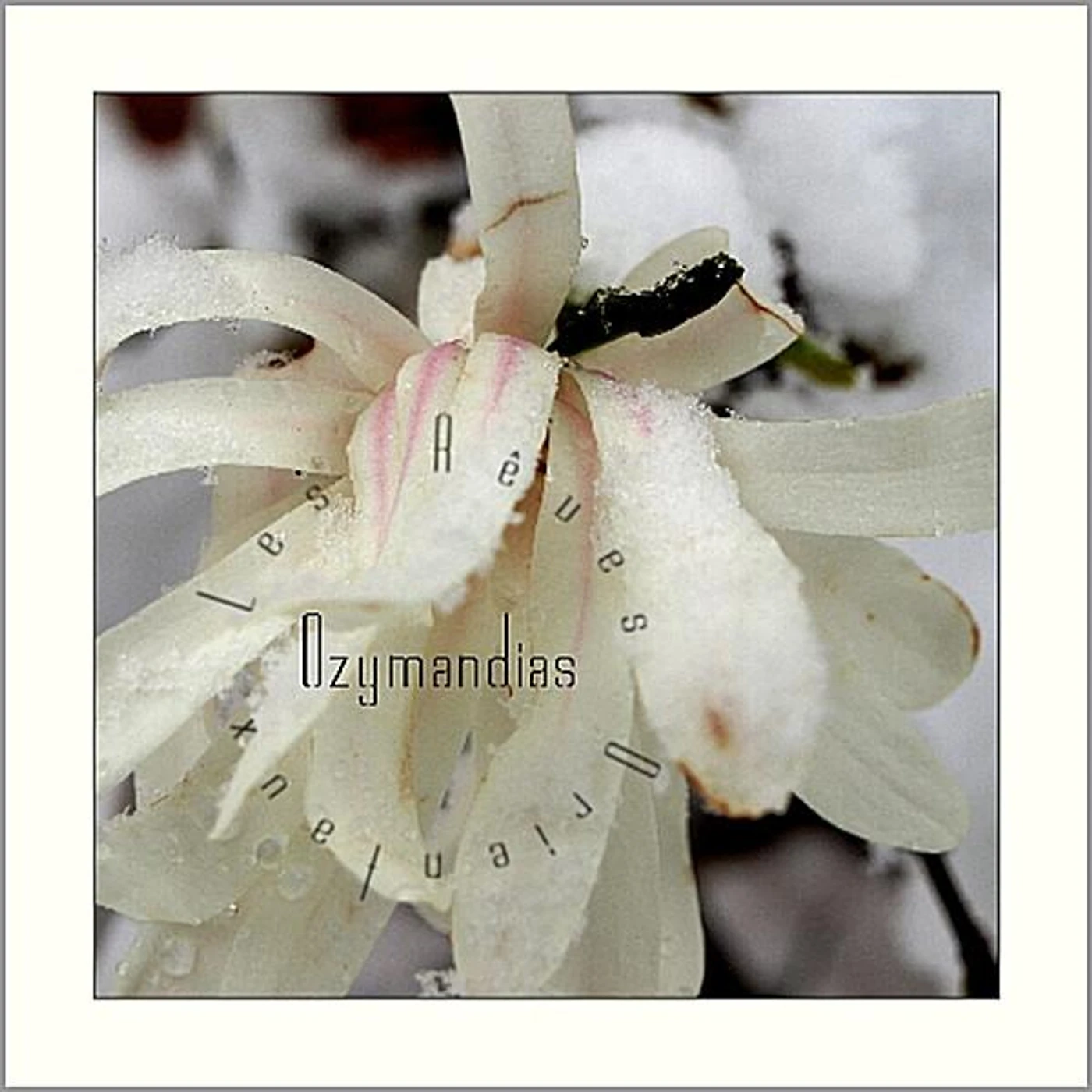 Ozymandias LES RAVES ORIENTAUX CD