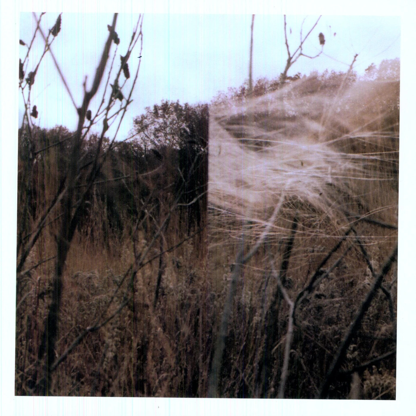 Benoît Pioulard 59961 PLAYS THELMA Vinyl Record