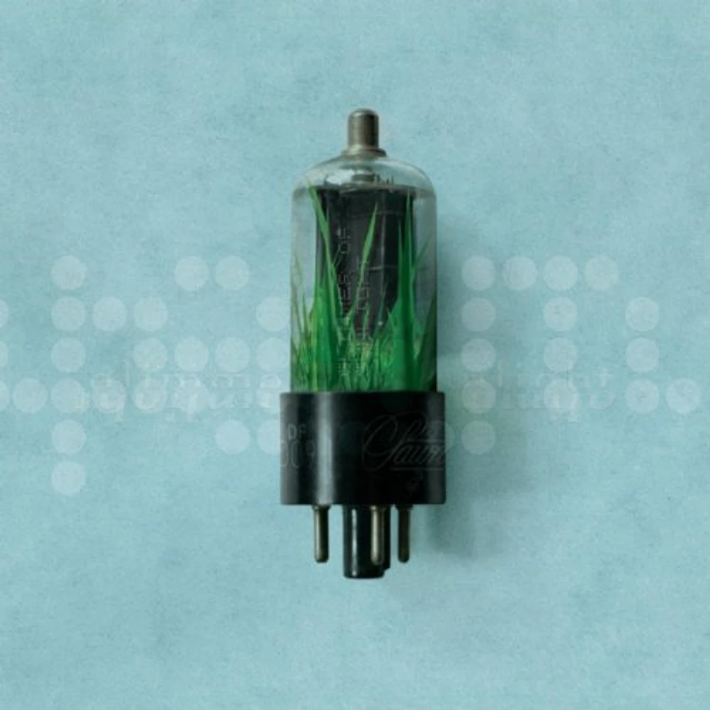 Pawn GLIMMER OF SUNLIGHT CD