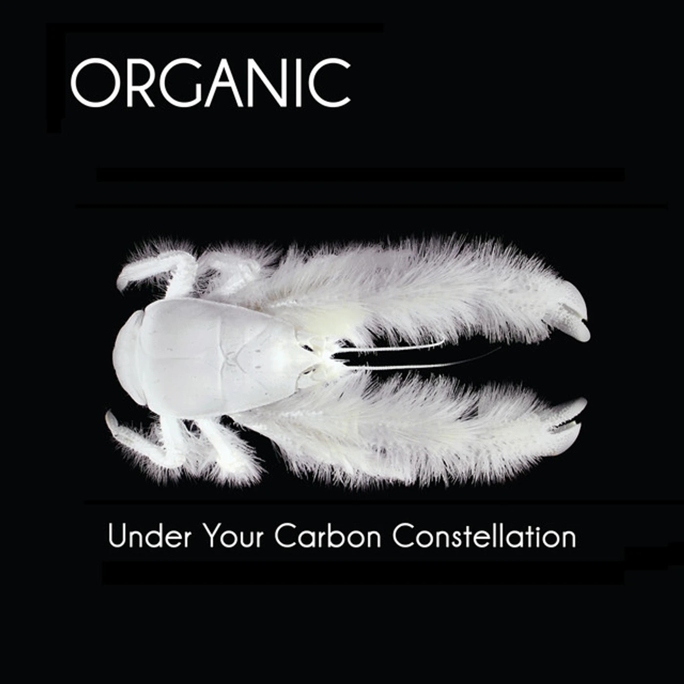 Organic Under Your Carbon Constellation Vinyl Record