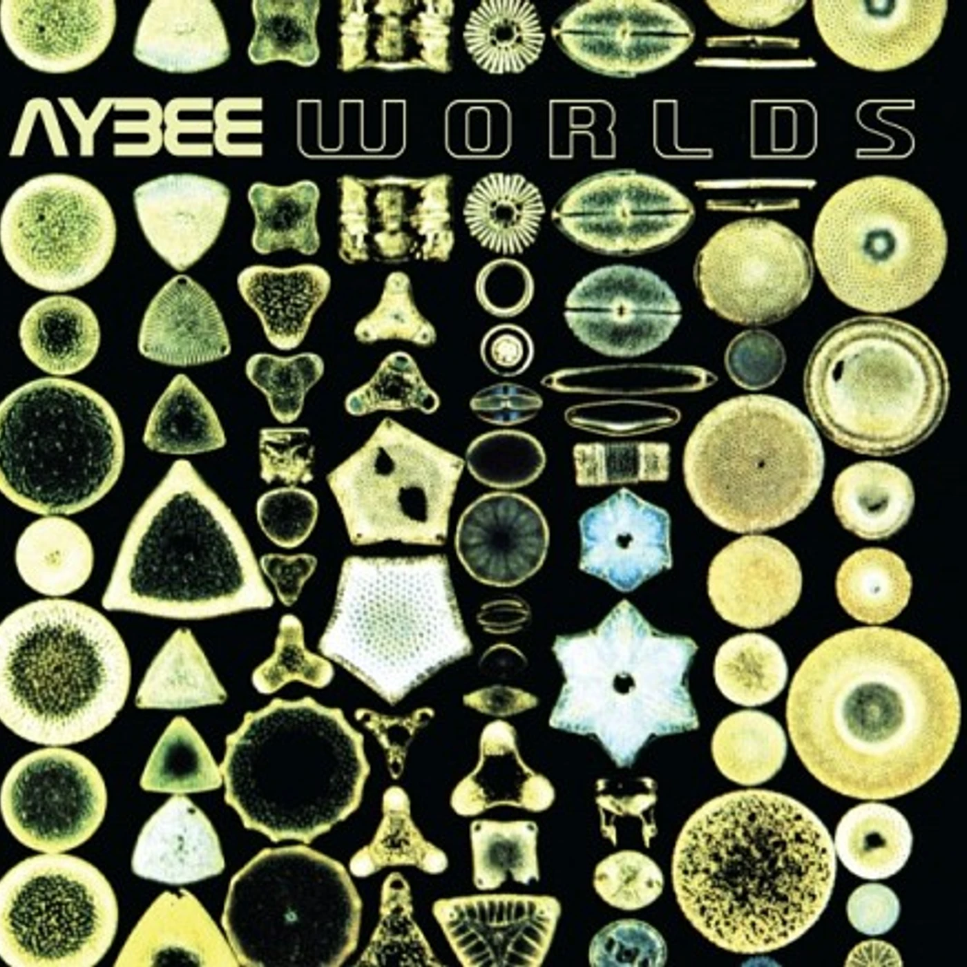 Aybee Worlds Vinyl Record