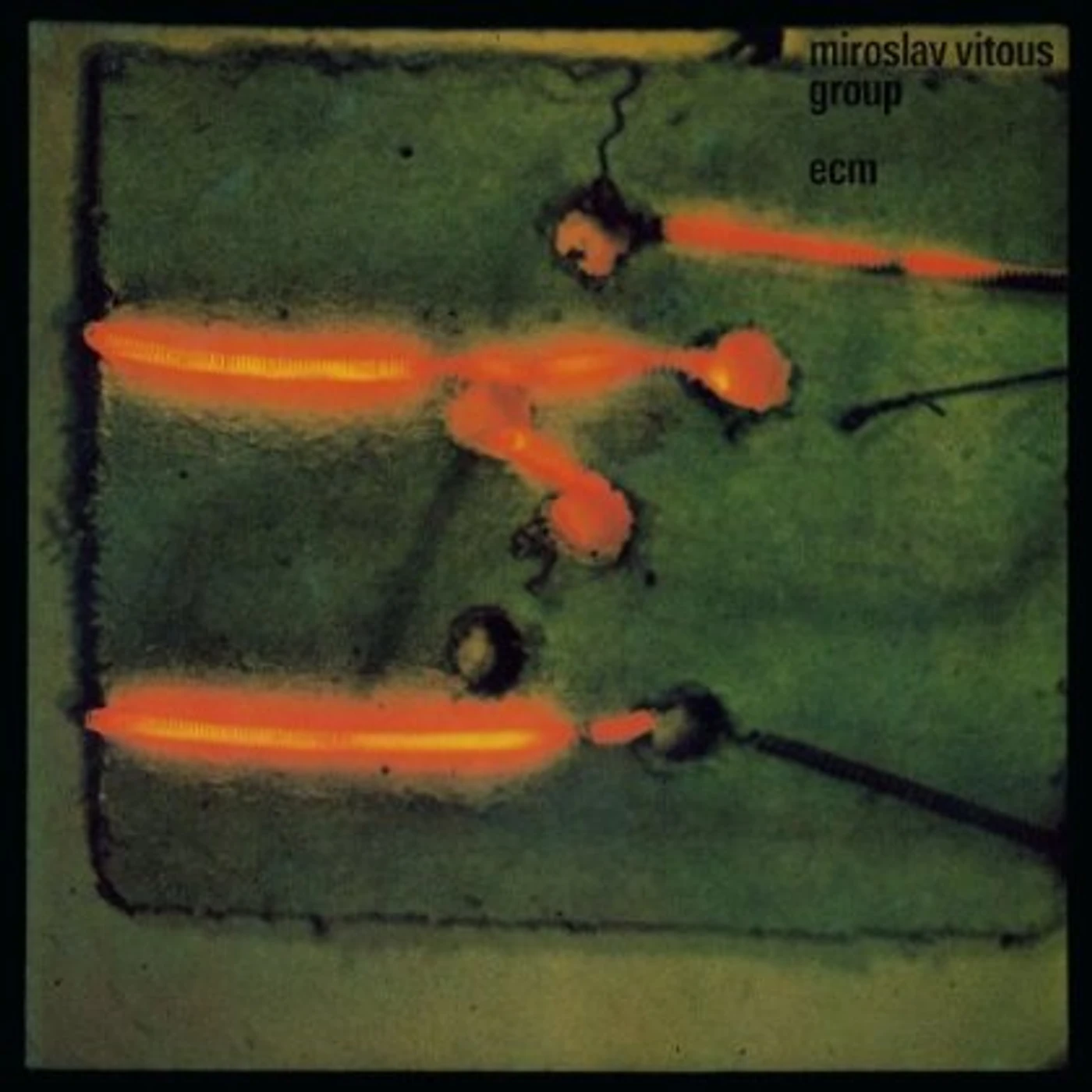 Miroslav Vitous Group Vinyl Record