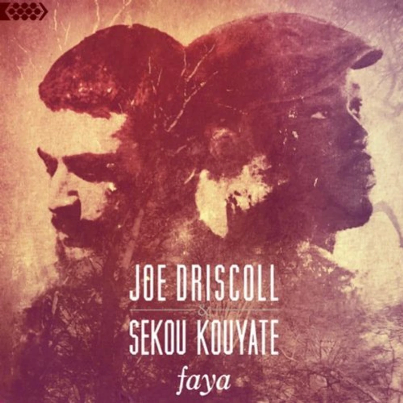 Joe Driscoll & Sekou Kouyate FAYA CD