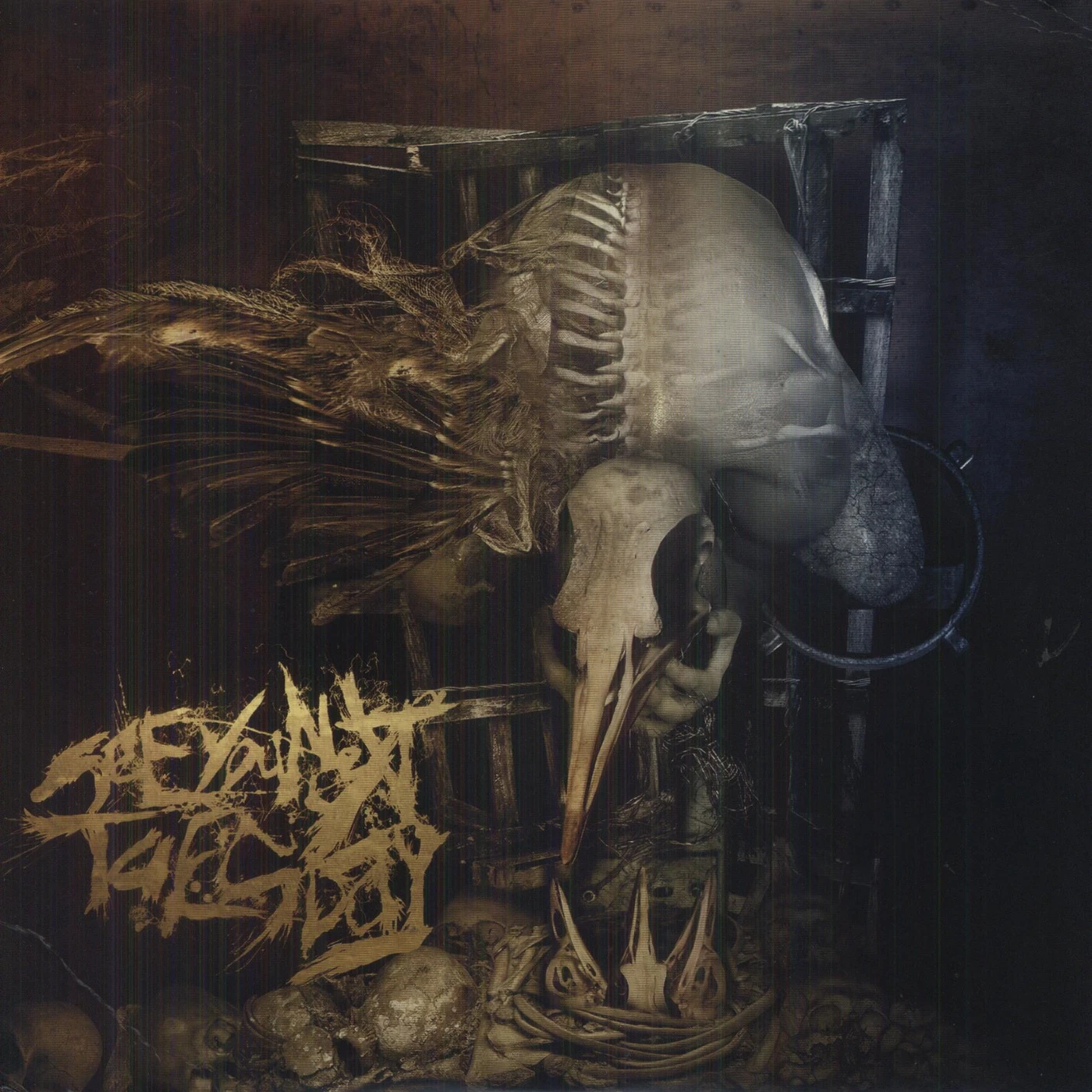 See You Next Tuesday PARASITE (Vinyl)
