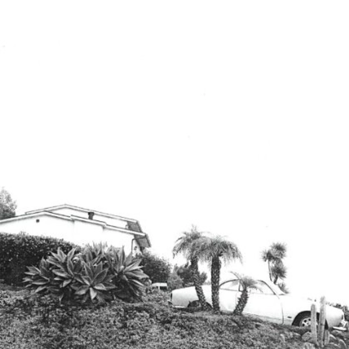 Timber Timbre HOT DREAMS CD