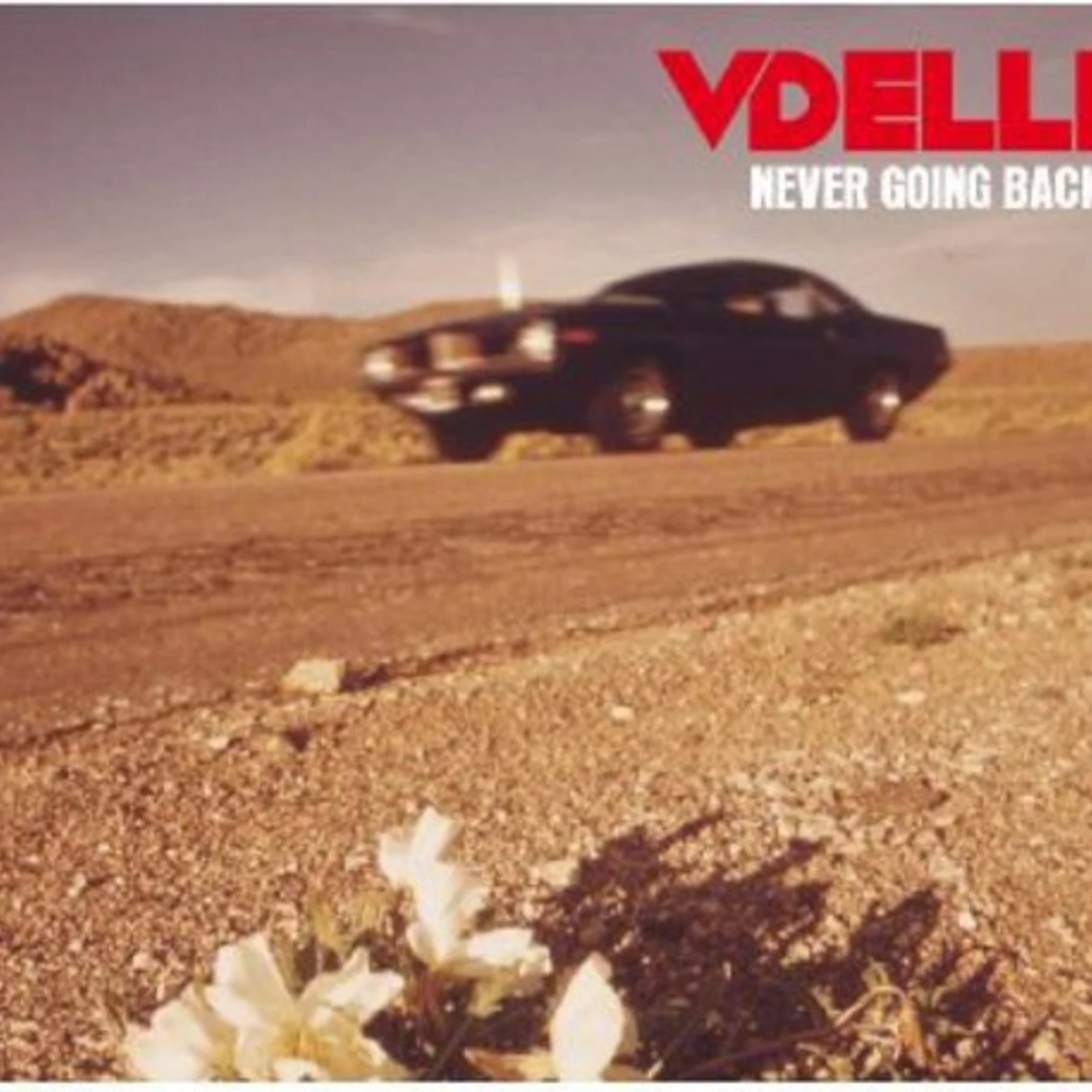 Vdelli NEVER GOING BACK CD