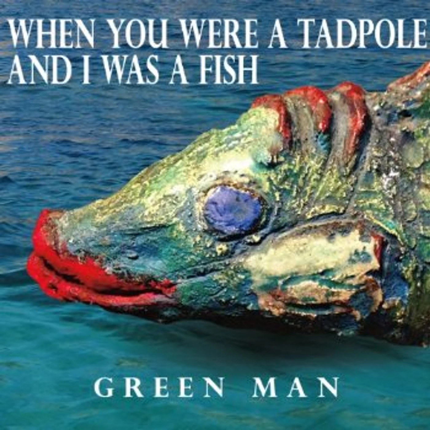 Green Man WHEN YOU WERE A TADPOLE & I WAS A FISH CD