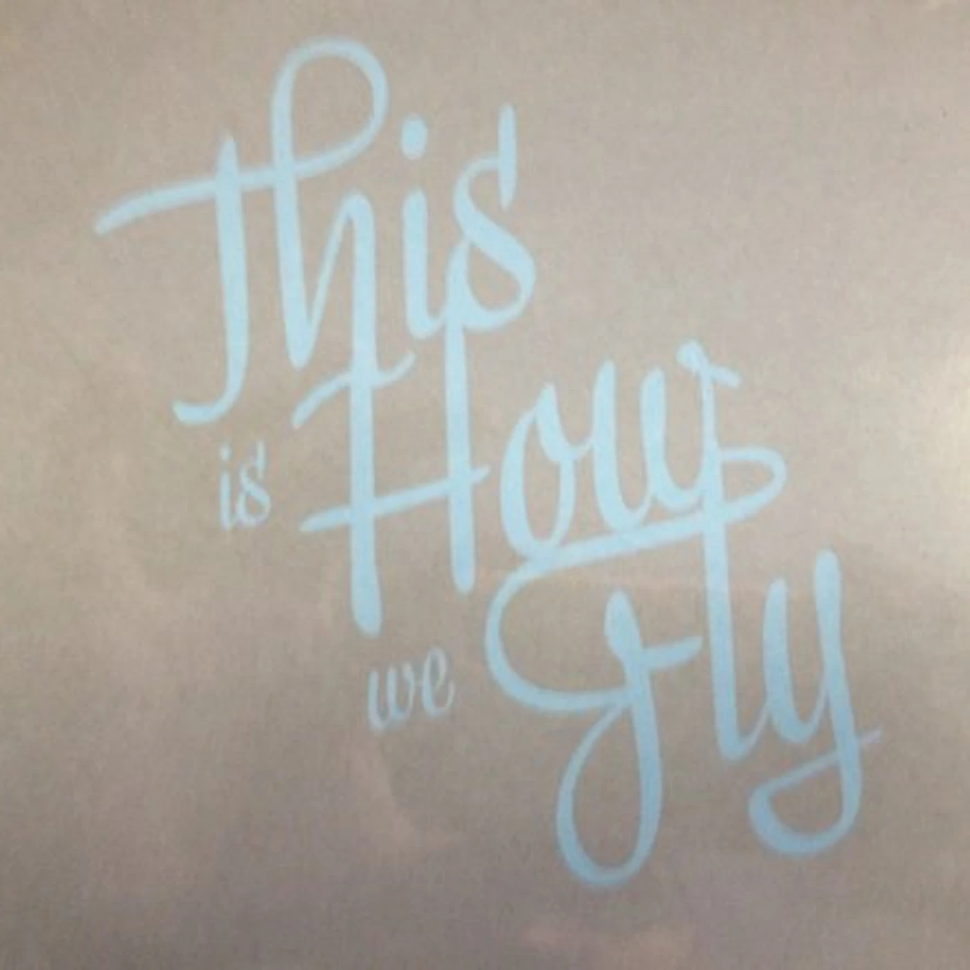 THIS IS HOW WE FLY CD