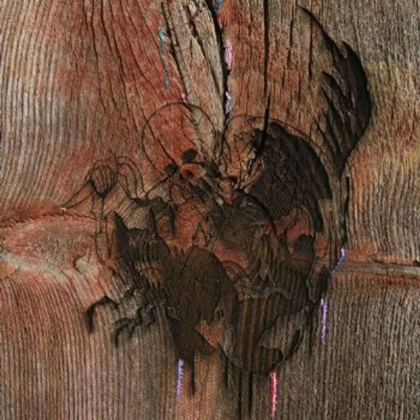 Avey Tare's Slasher Flicks ENTER THE SLASHER HOUSE CD