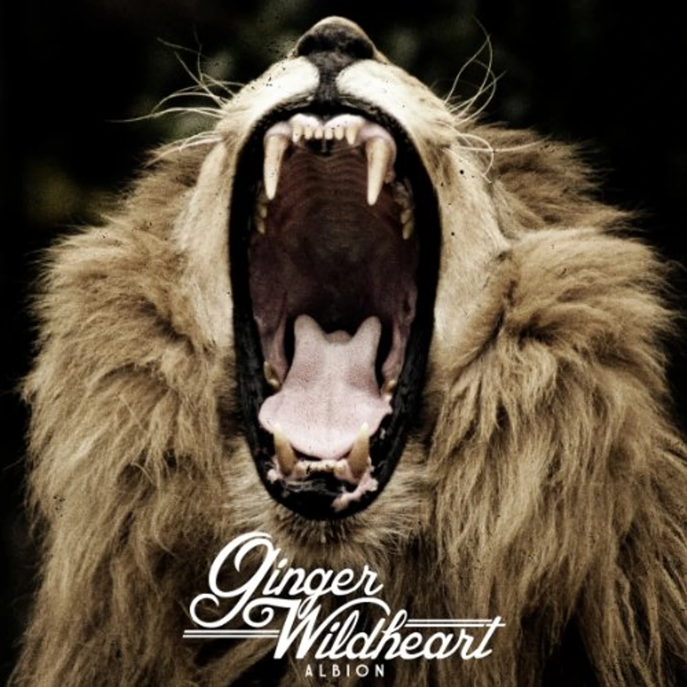 Ginger Wildheart ALBION CD