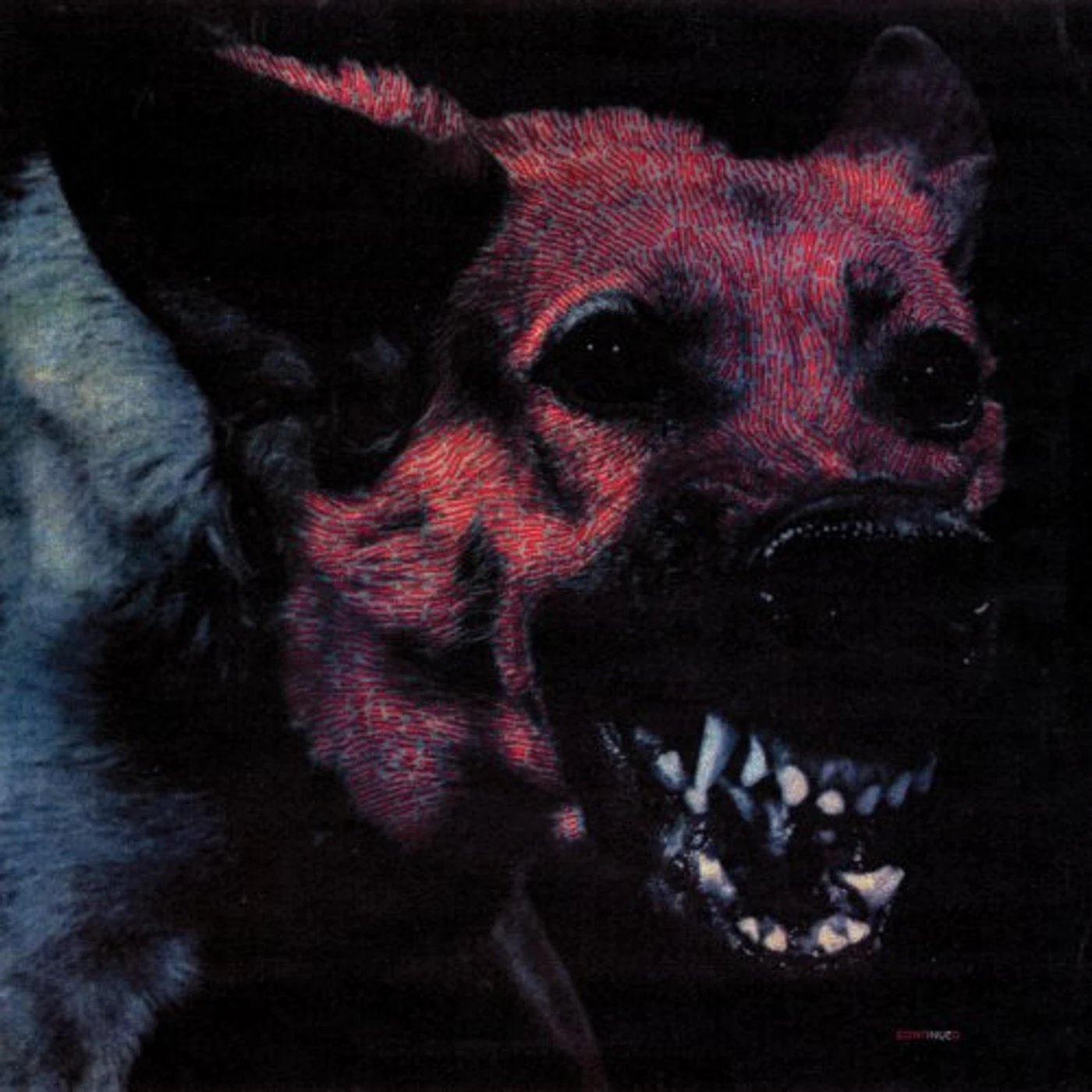 Protomartyr UNDER COLOR OF OFFICIAL RIGHT CD