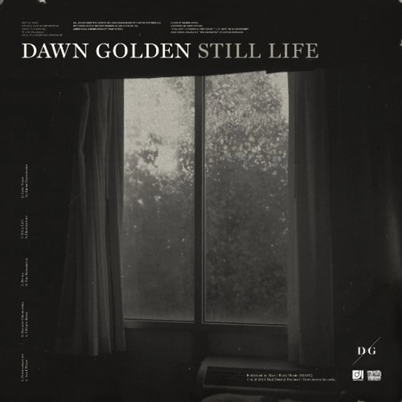 Dawn Golden Still Life Vinyl Record