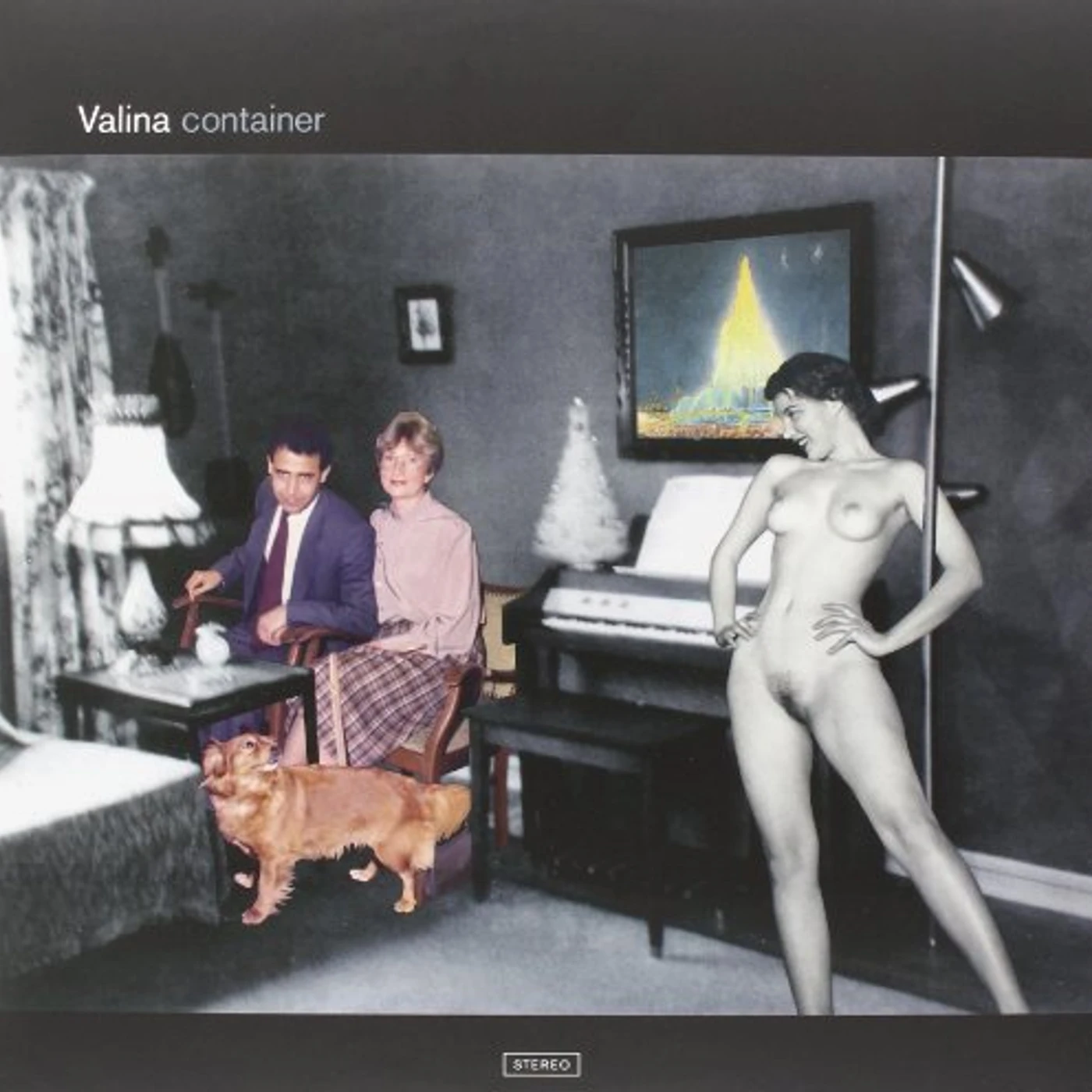 Valina Container Vinyl Record