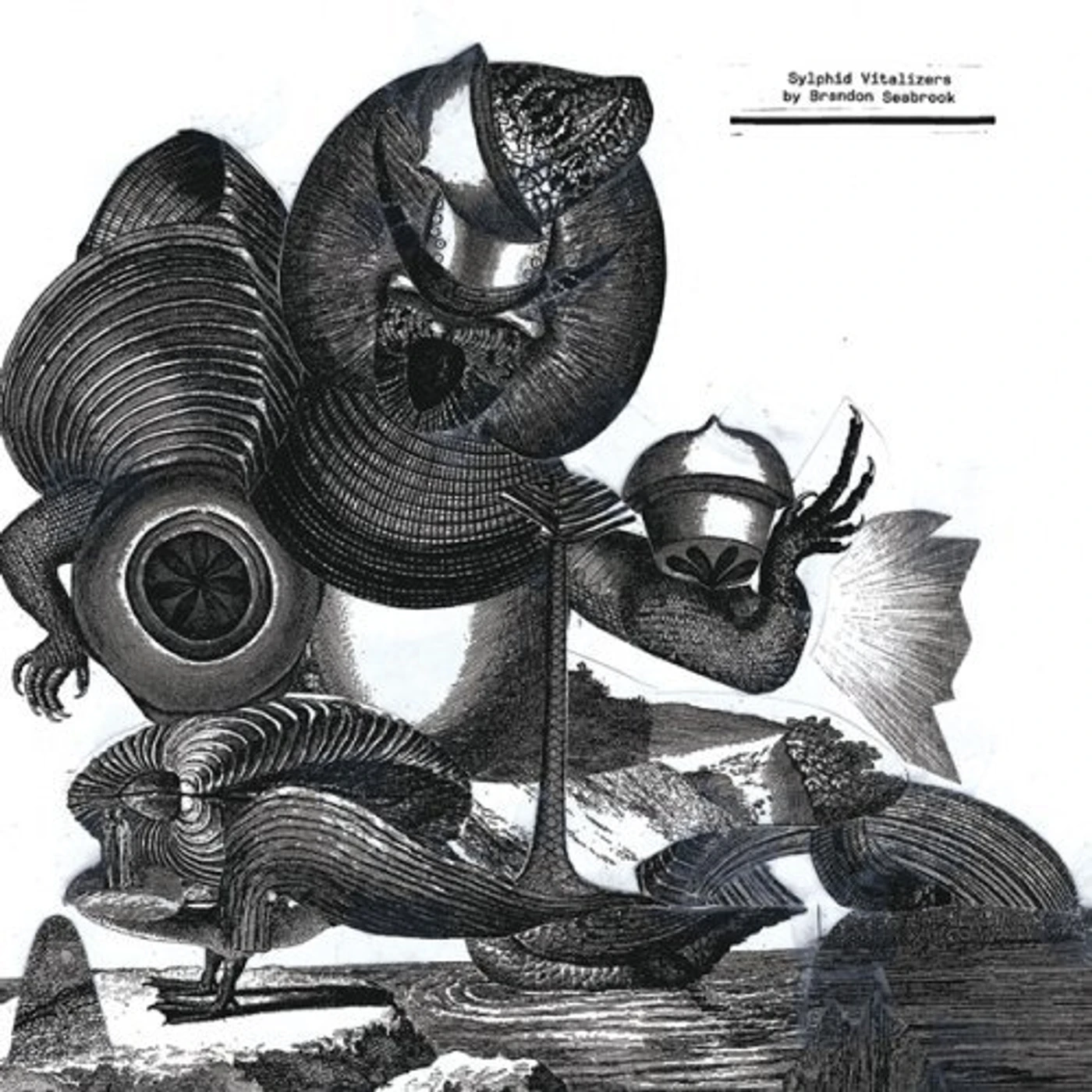 Brandon Seabrook Sylphid Vitalizers Vinyl Record