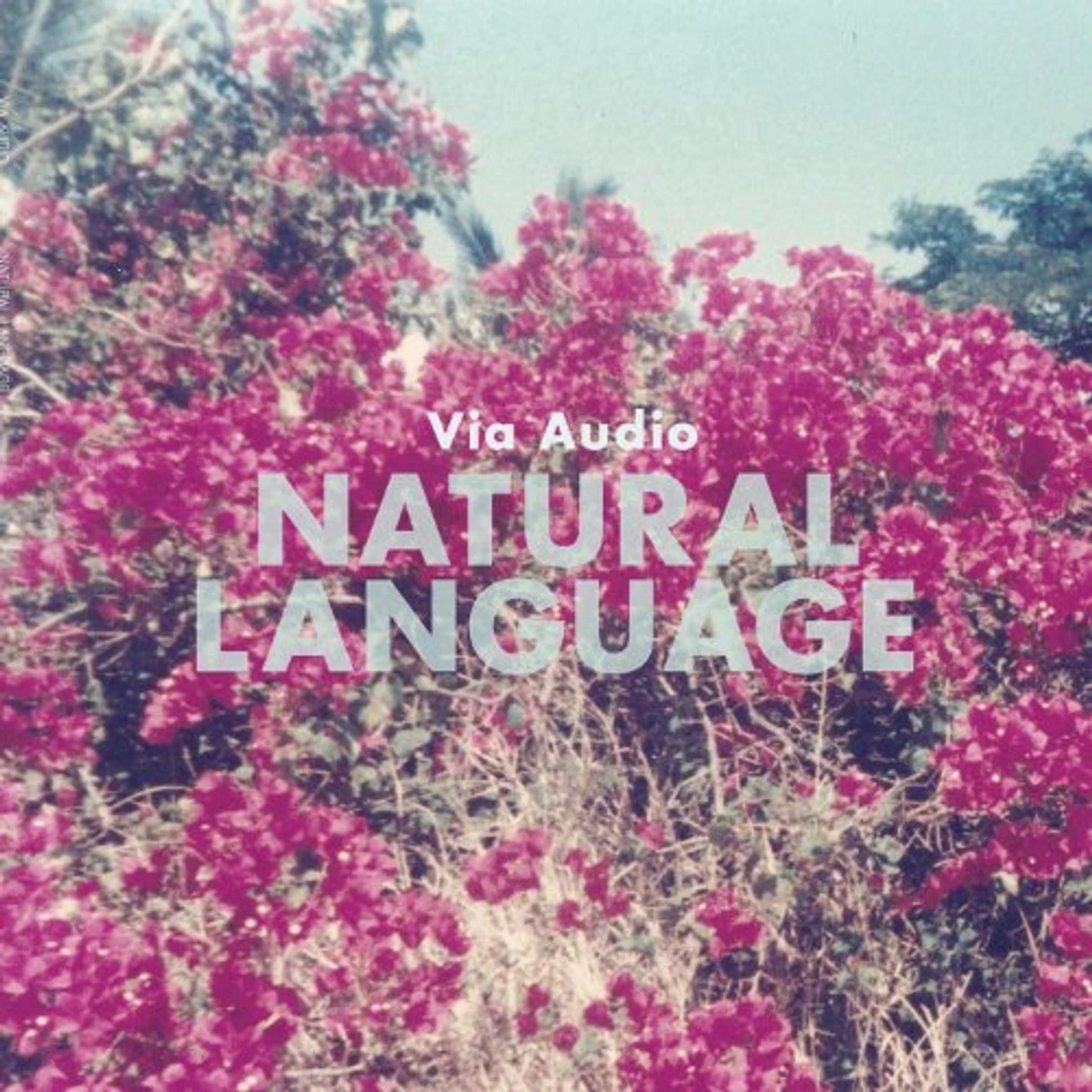 Via Audio Natural Language Vinyl Record