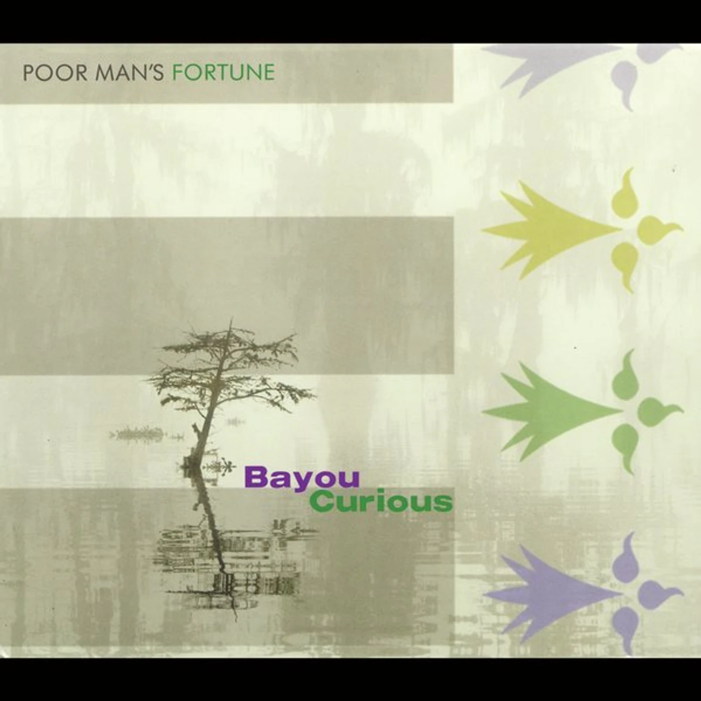 Poor Man's Fortune BAYOU CURIOUS CD