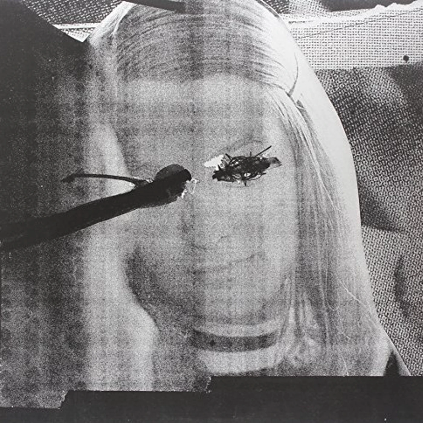 Altar of Flies FEMALE Vinyl Record