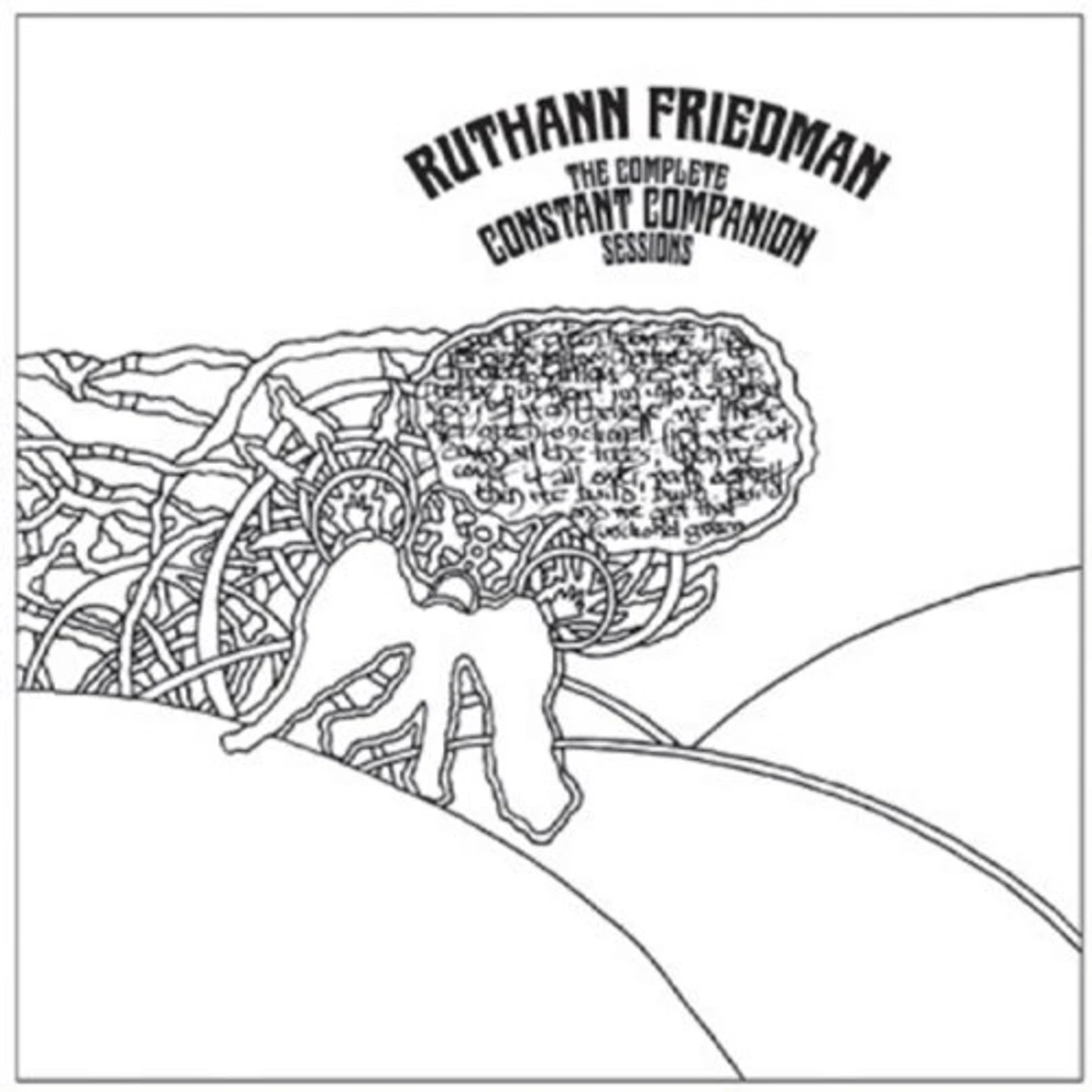 Ruthann Friedman COMPLETE CONSTANT COMPANION SESSIONS CD