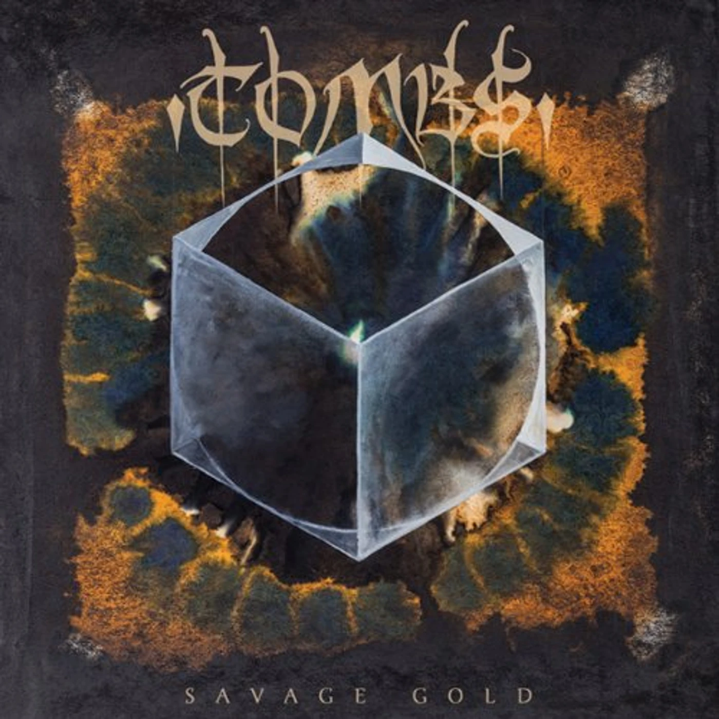 Tombs Savage Gold Vinyl Record