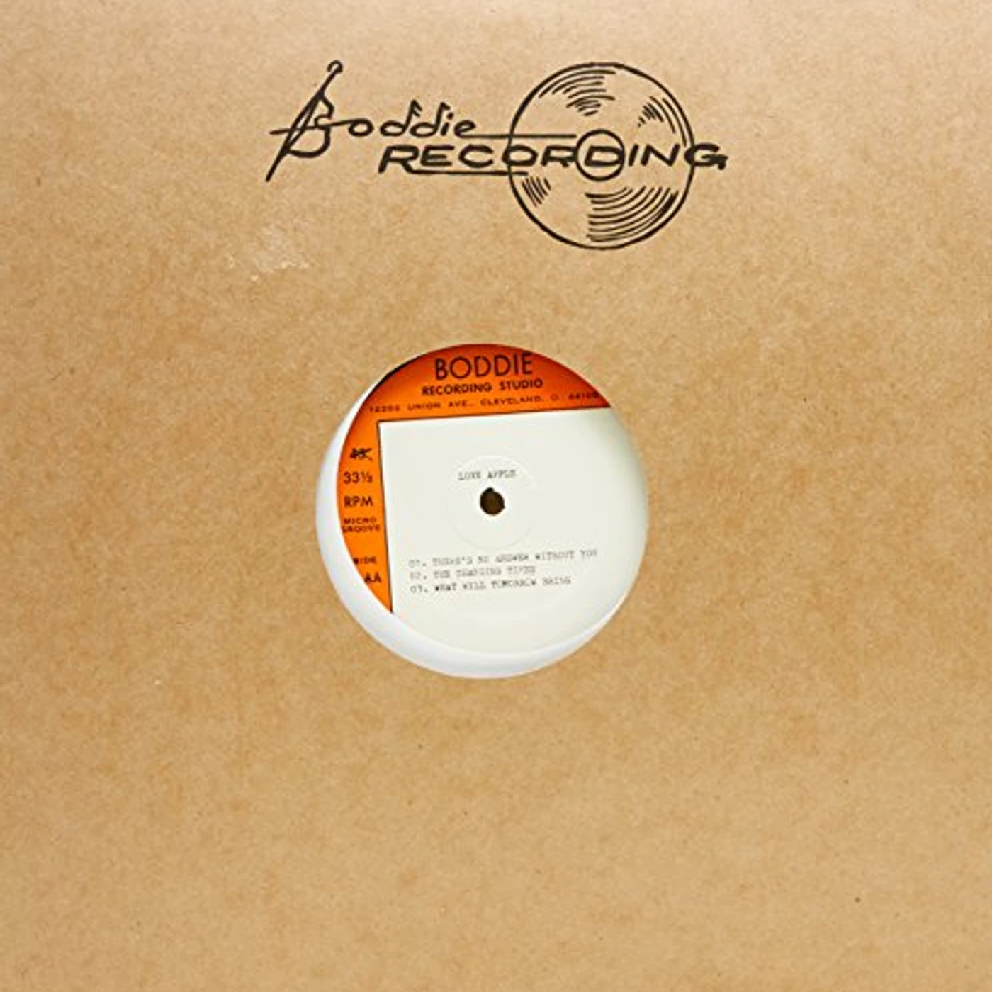 Love Apple Vinyl Record