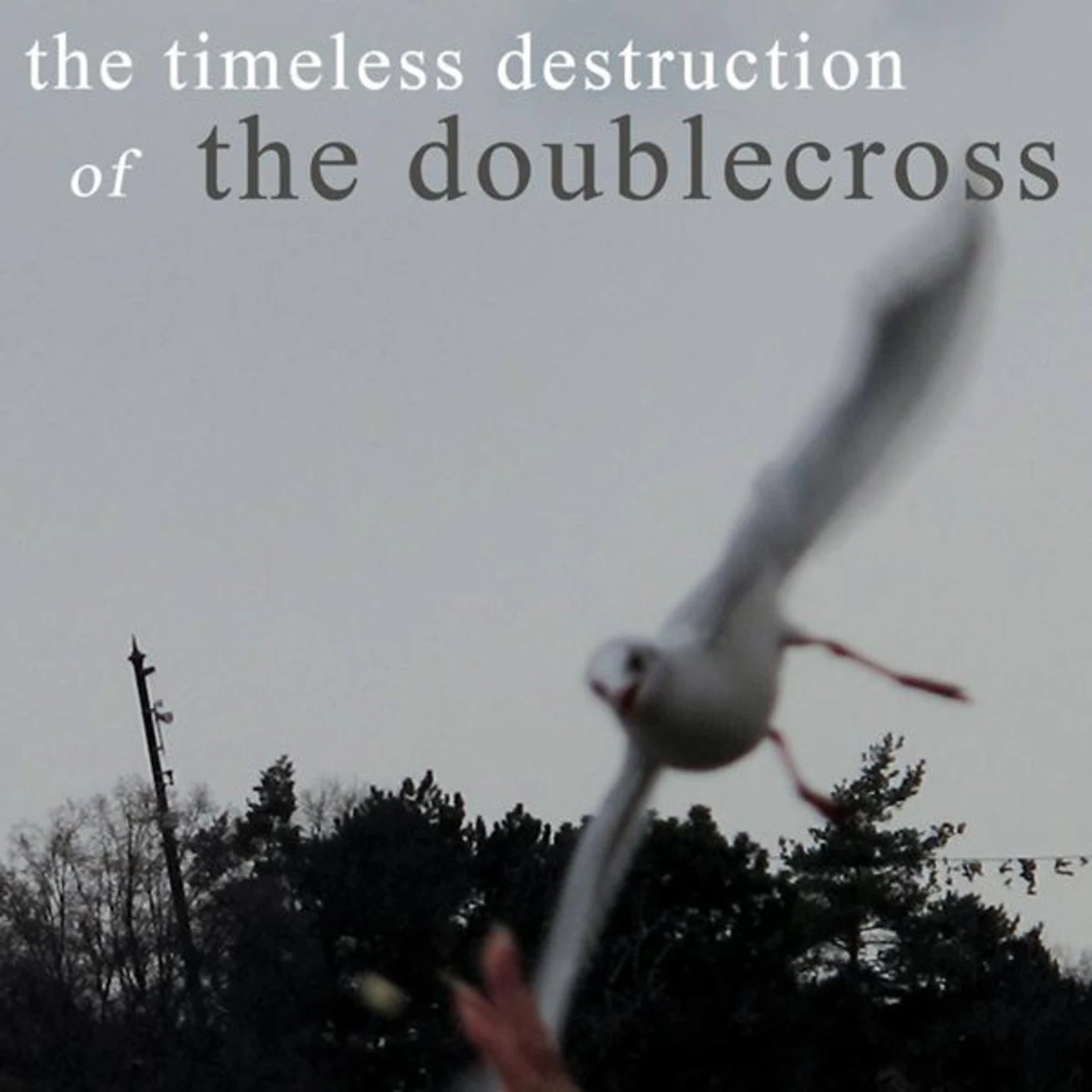 TIMELESS DESTRUCTION OF THE DOUBLECROSS Vinyl Record - UK Release