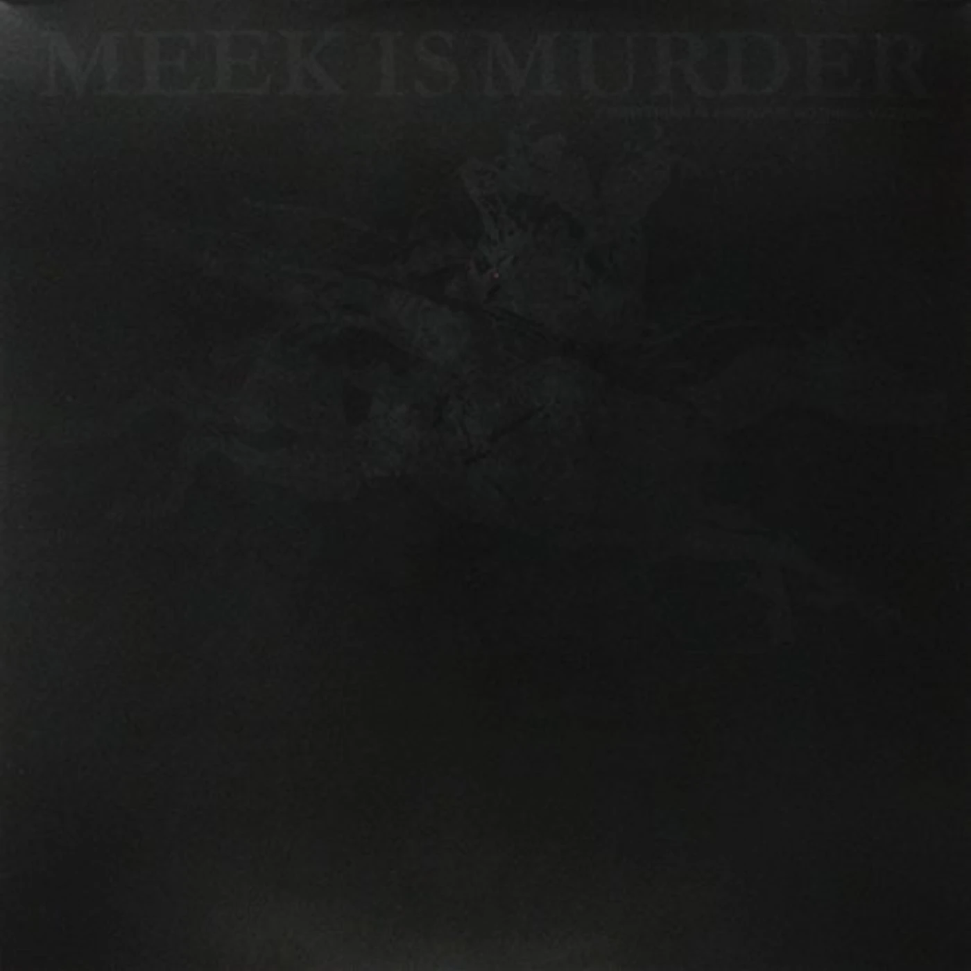 Meek is Murder Everything Is Awesome Nothing Matters Vinyl Record