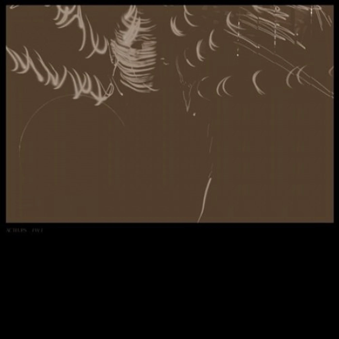 Acteurs I W I Vinyl Record
