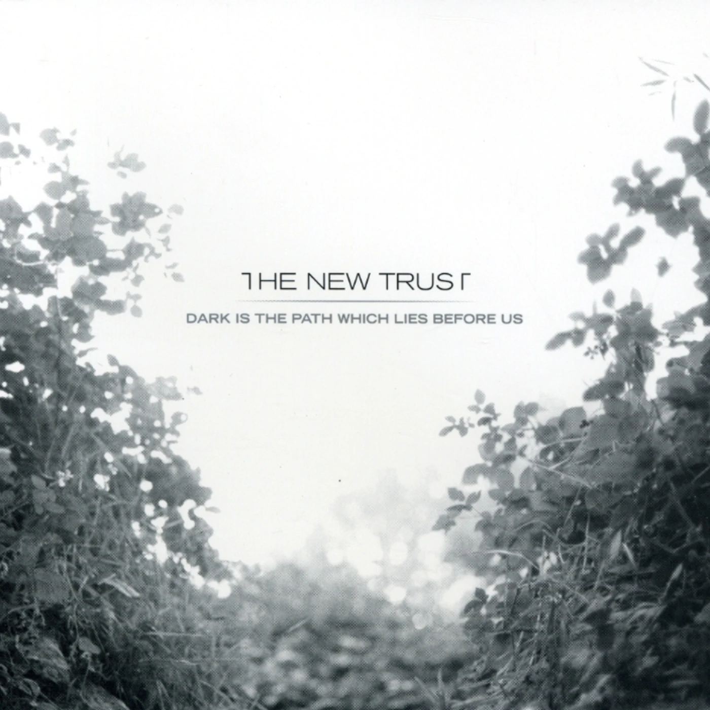 The New Trust DARK IS THE PATH WHICH LIES BEFORE US CD