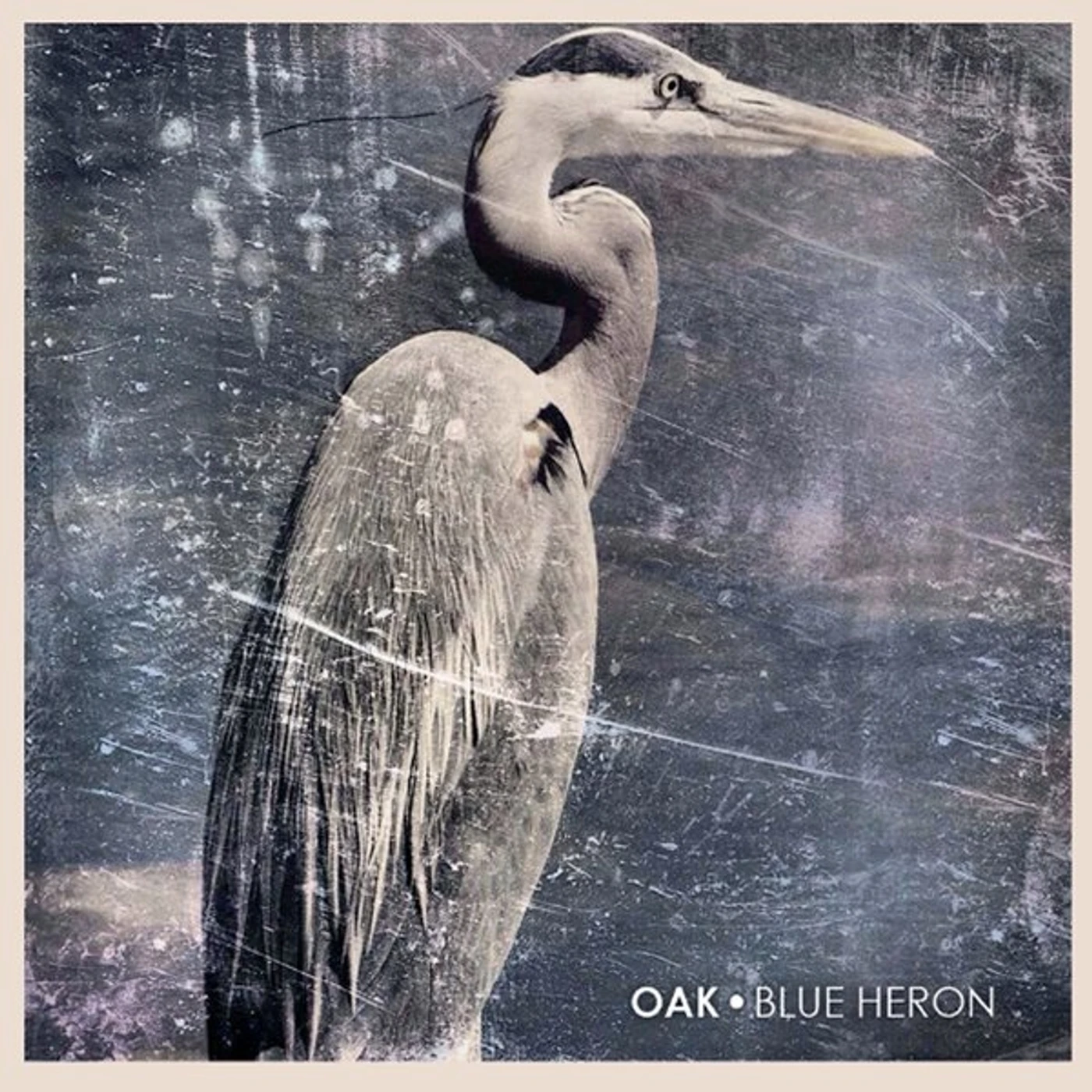 Oak BLUE HERON CD