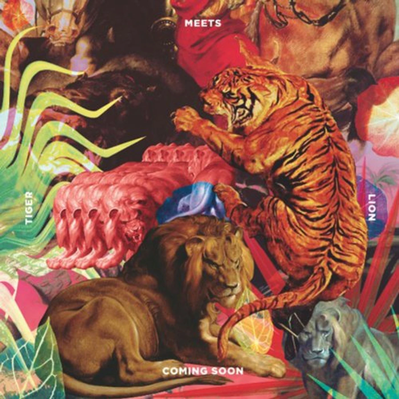 Coming Soon Tiger Meets Lion Vinyl Record