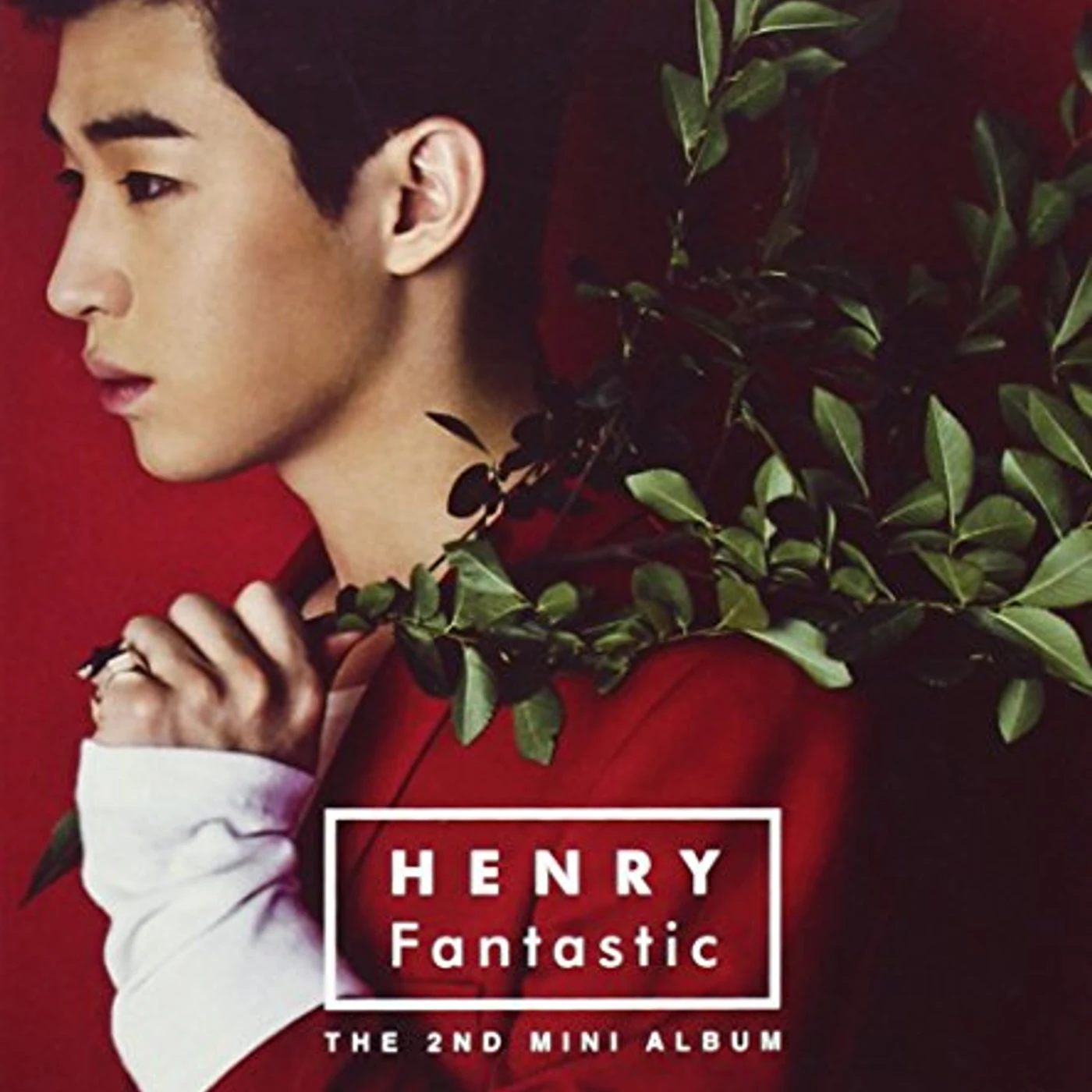 HENRY FANTASTIC CD
