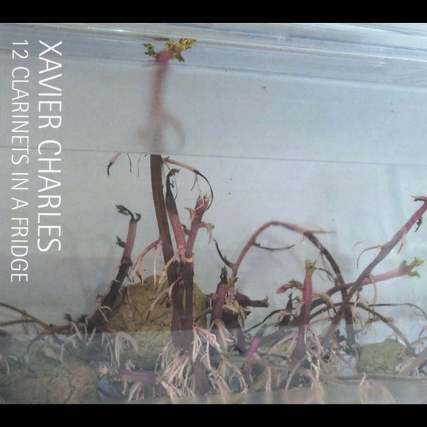 Xavier Charles 12 CLARINETS IN A FRIDGE CD