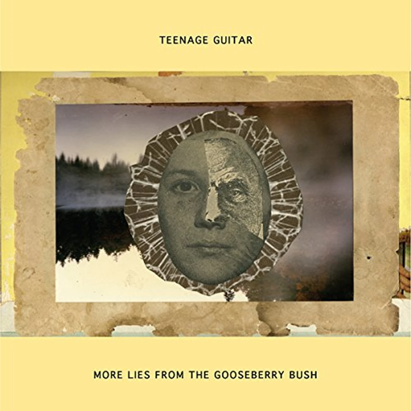 Teenage Guitar MORE LIES FROM THE GOOSEBERRY BUSH Vinyl Record