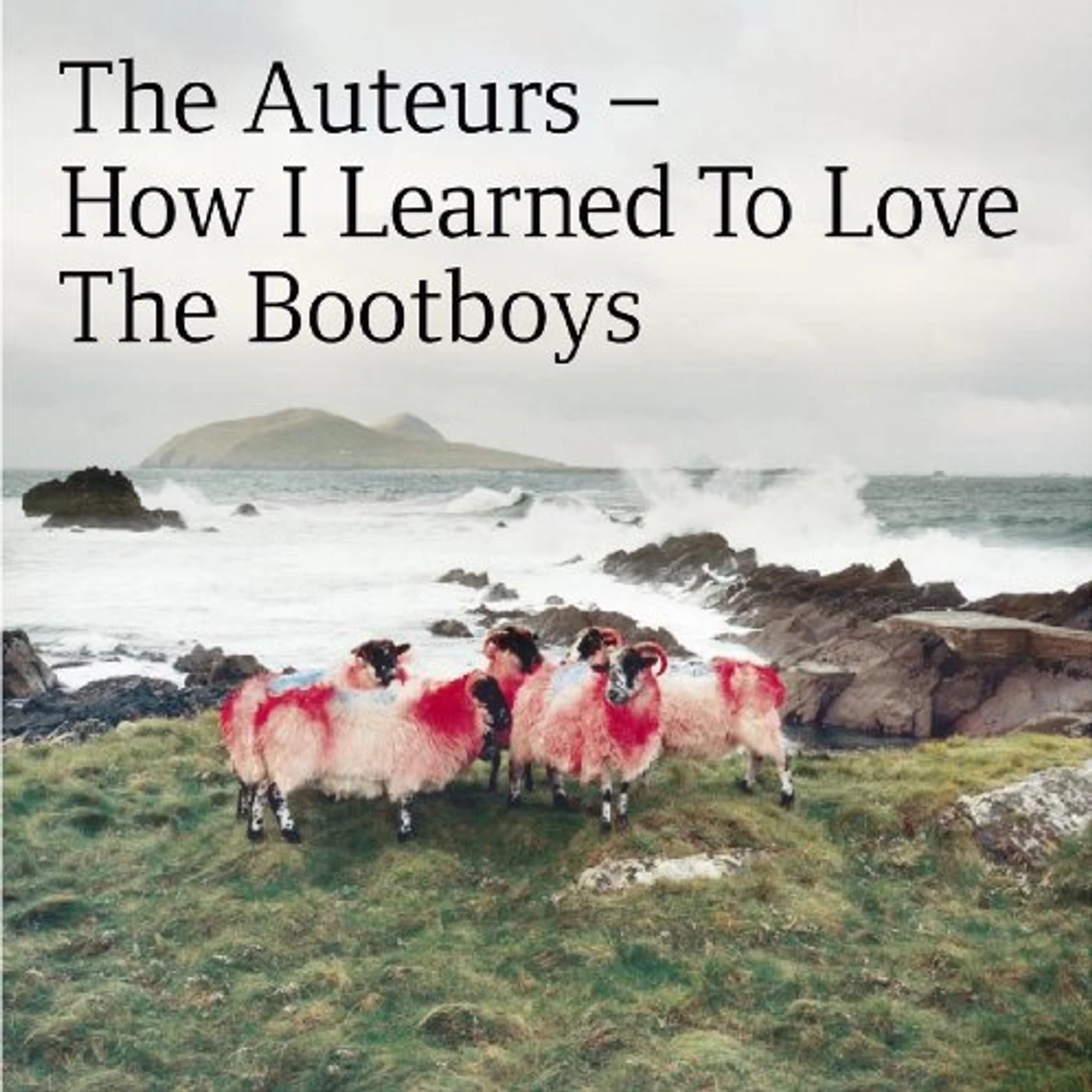 The Auteurs How I Learned To Love The Bootboys Vinyl Record