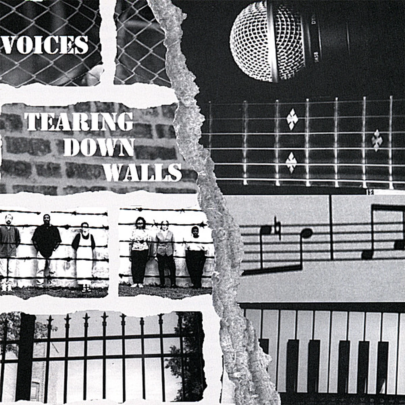 The Voices TEARING DOWN WALLS CD
