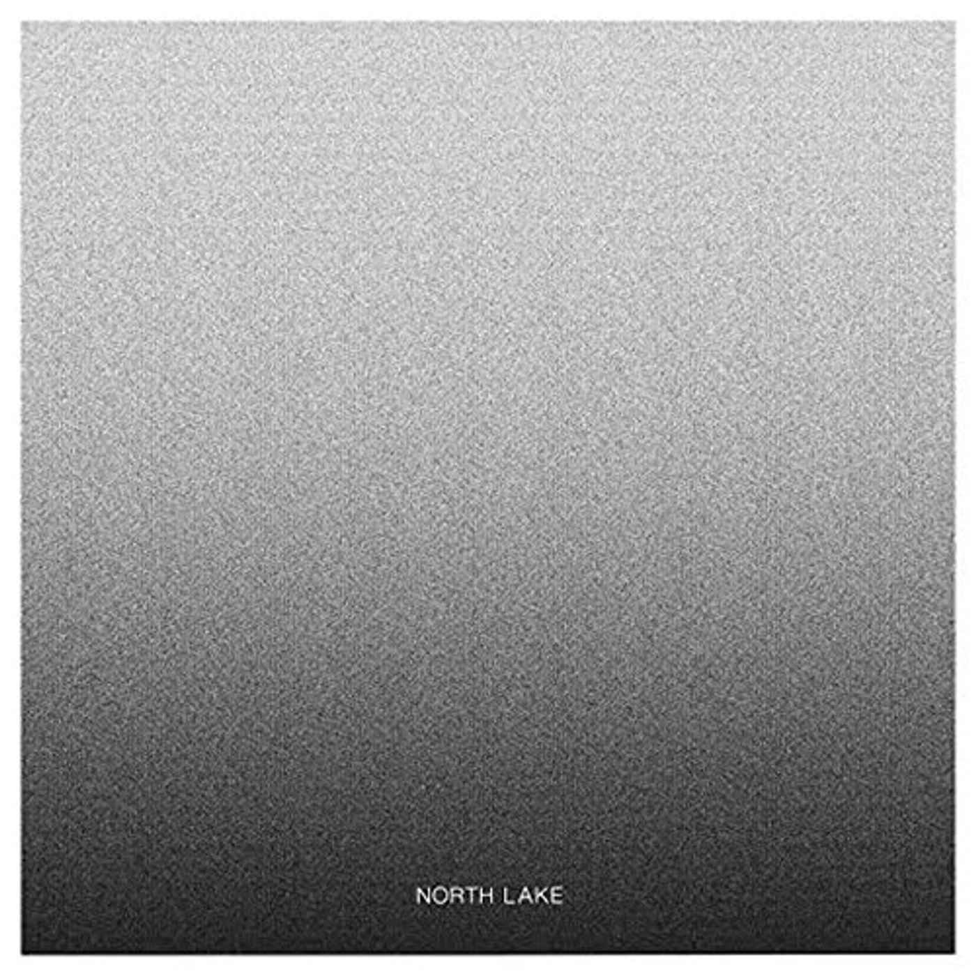 North Lake Flying in My Avrocar Vinyl Record