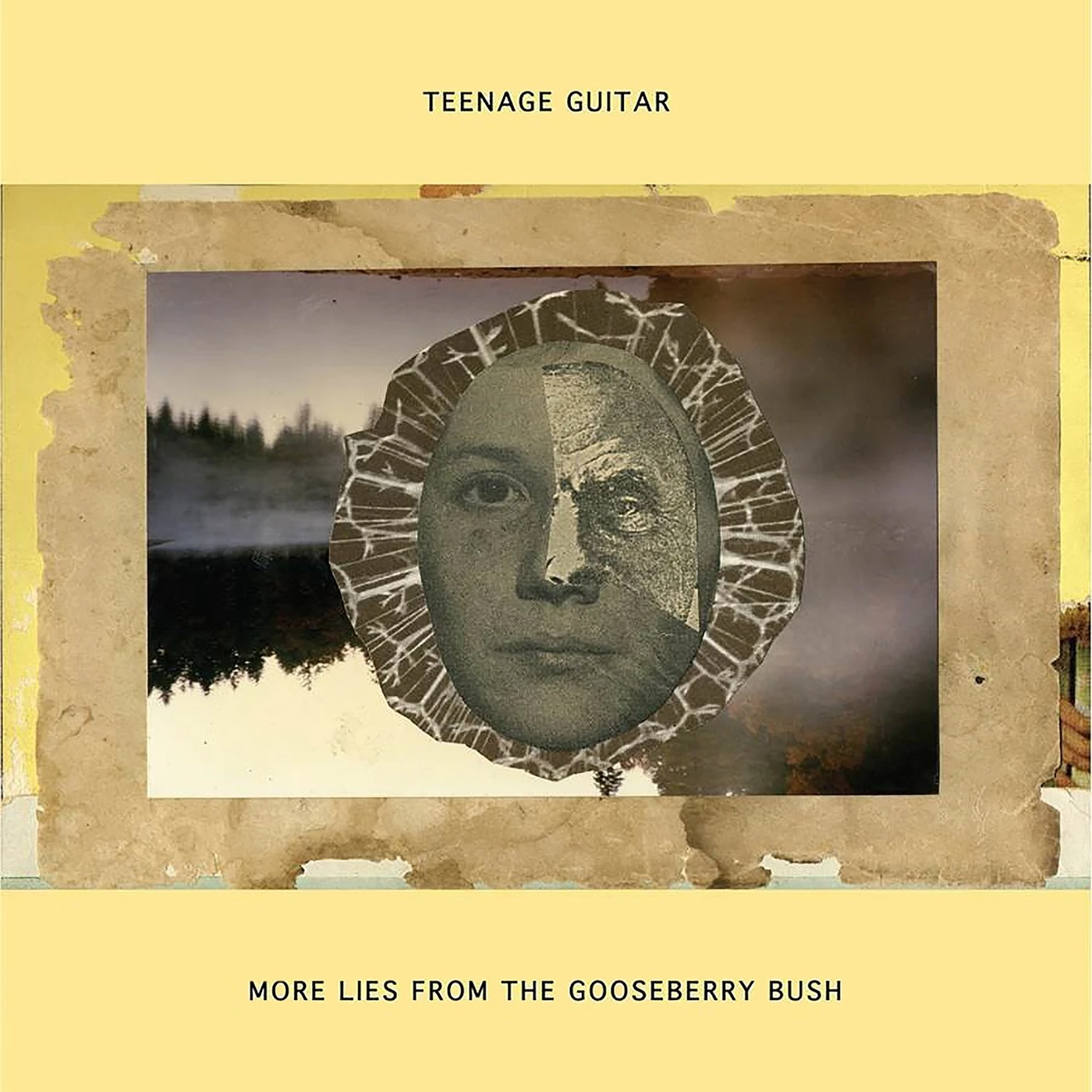 Teenage Guitar MORE LIES FROM THE GOOSEBERRY BUSH CD