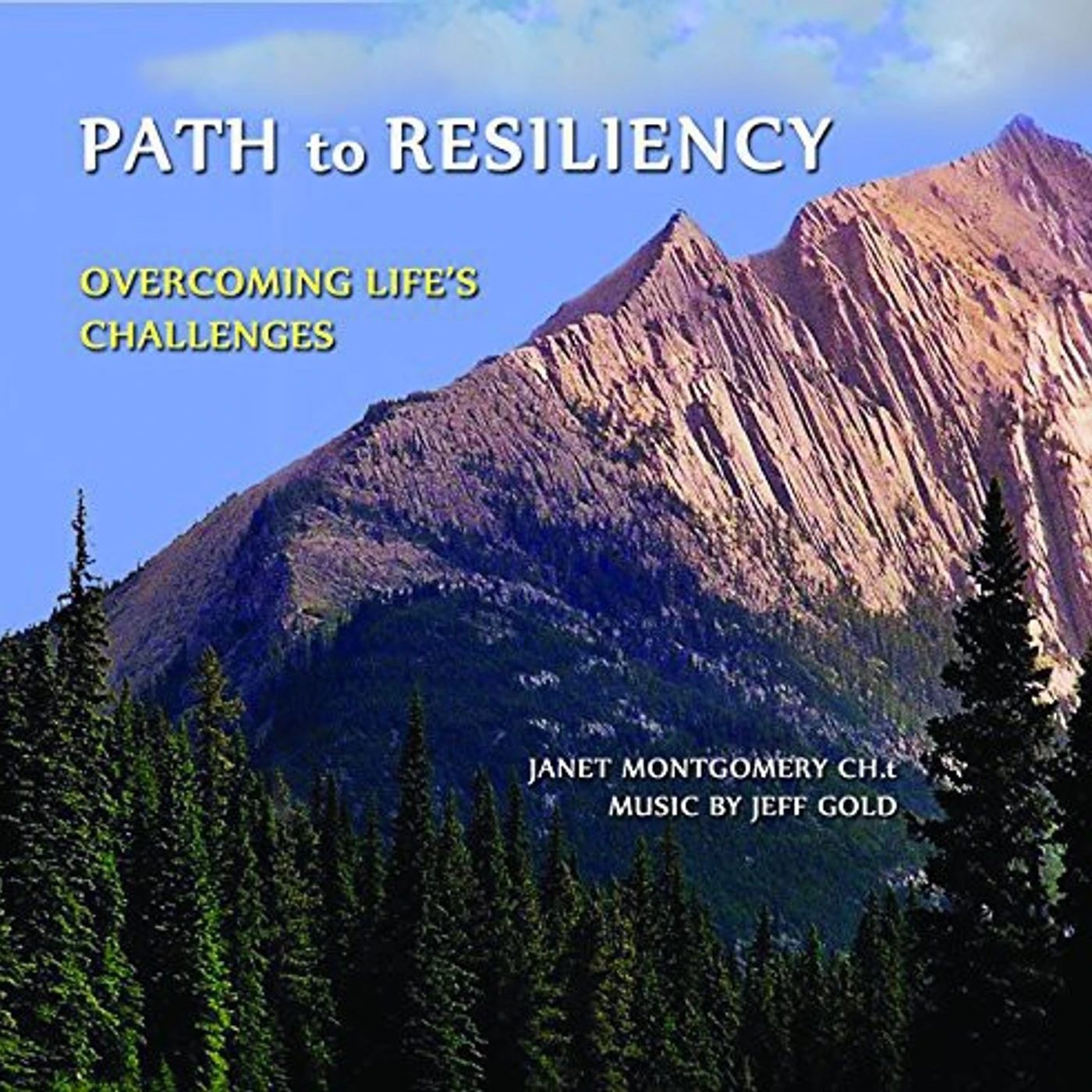 Janet Montgomery PATH TO RESILIENCY: OVERCOMING LIFES CHALLENGES CD